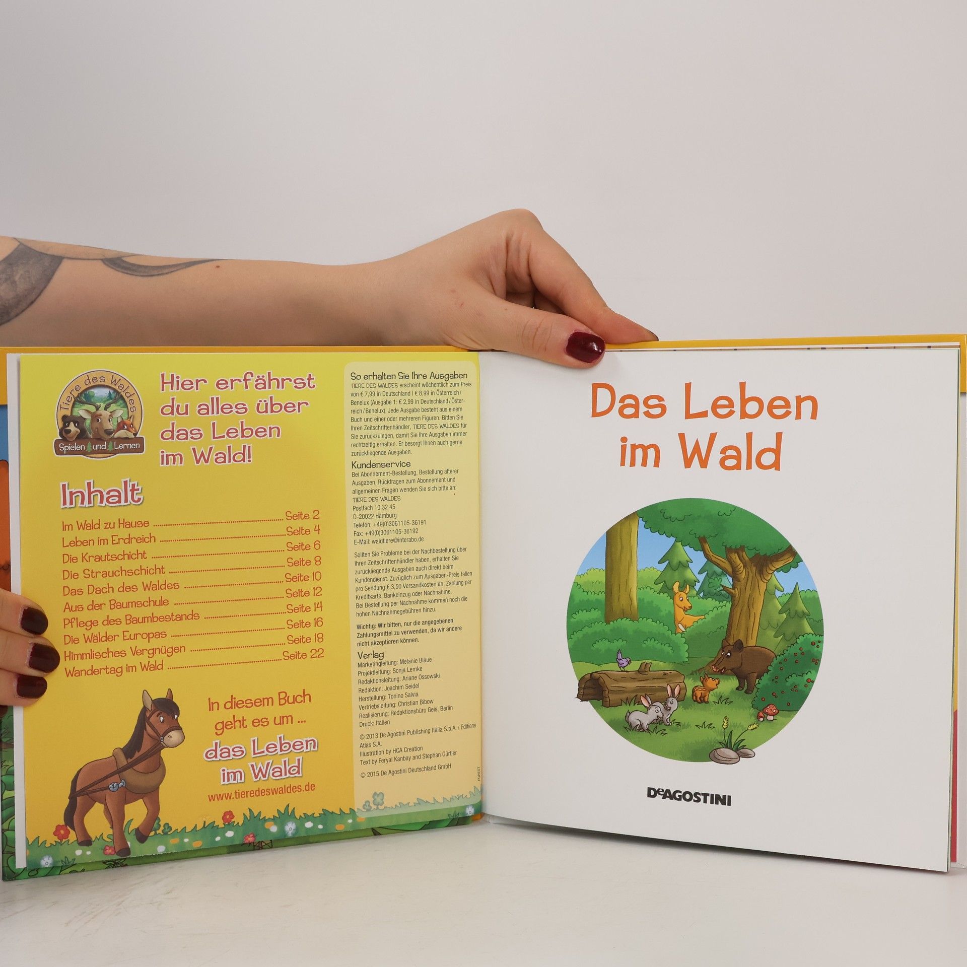 Autorenkollektiv Abenteuer im Wald 7. Leben im Wald