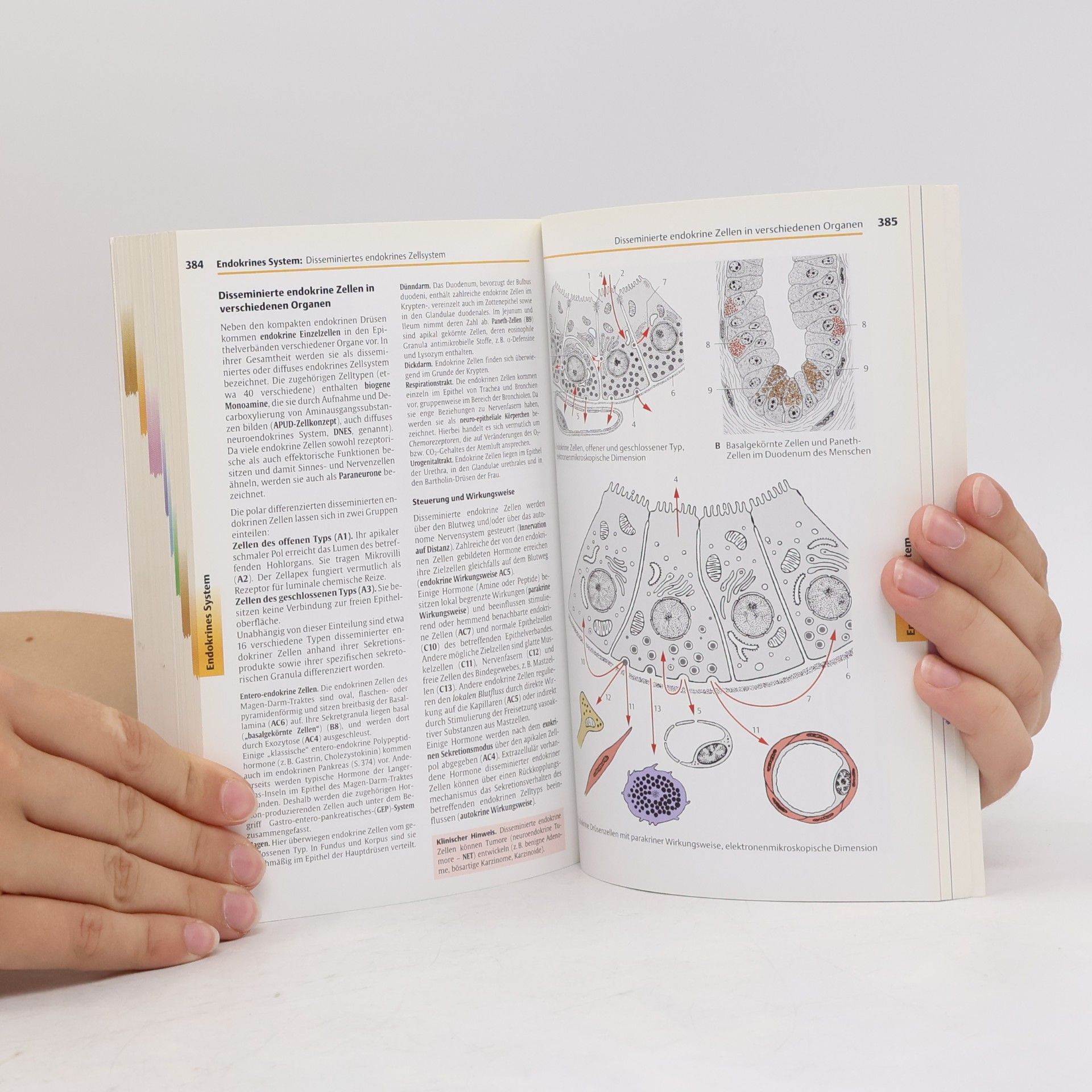 Helga Fritsch Taschenatlas Anatomie