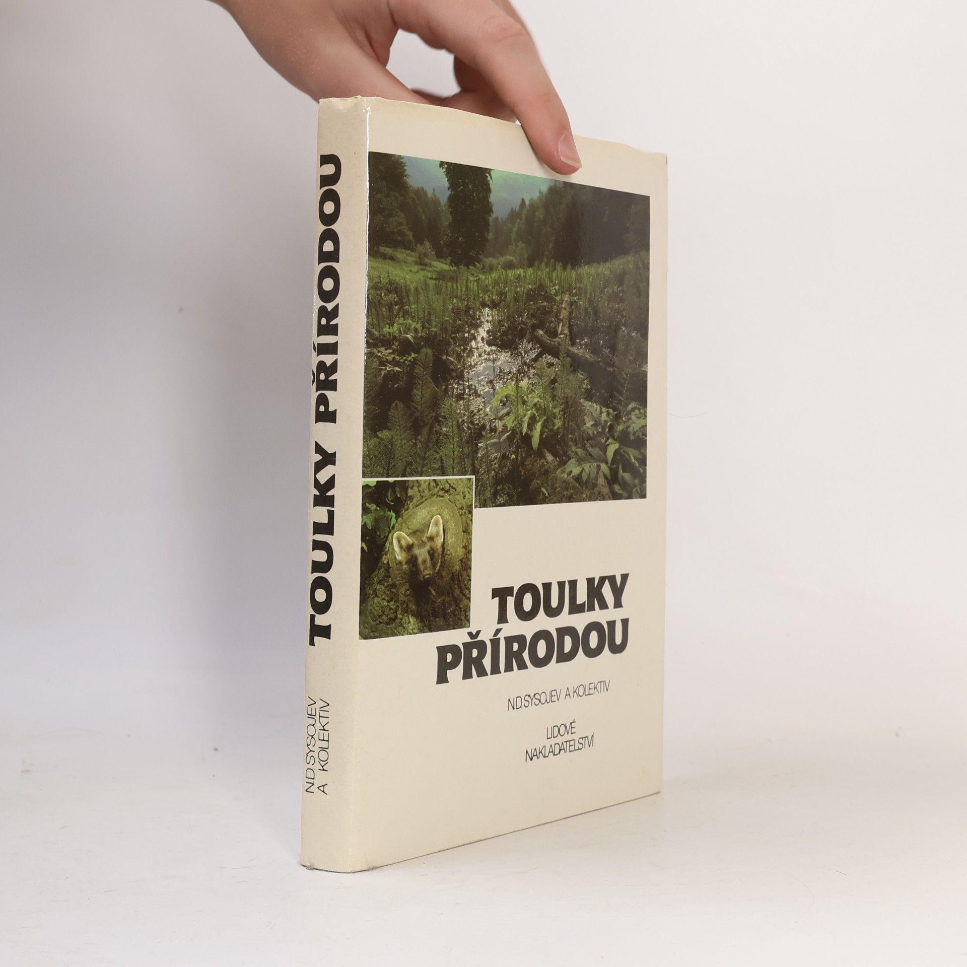 N. D. Sysojev Toulky přírodou