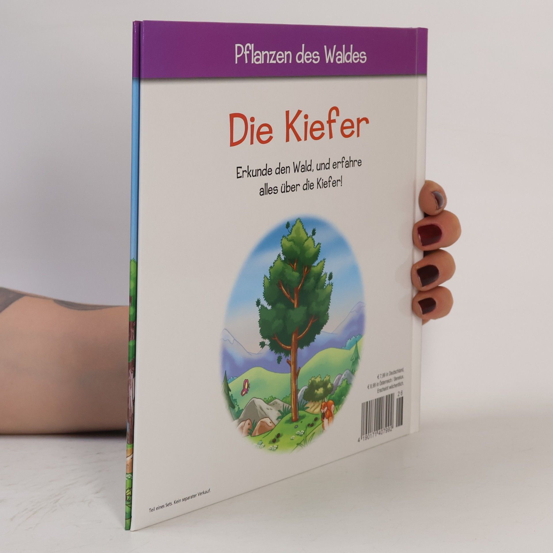 AA.VV. Pflanzen des Waldes 26. Die Kiefer