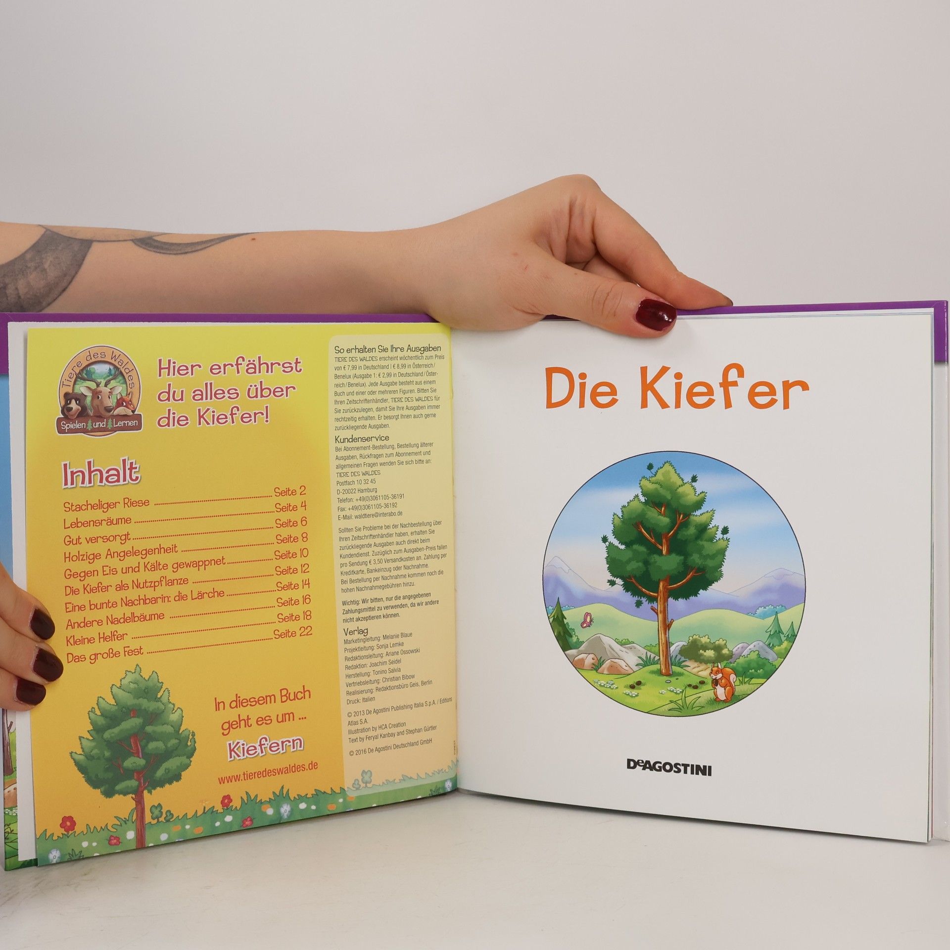 AA.VV. Pflanzen des Waldes 26. Die Kiefer