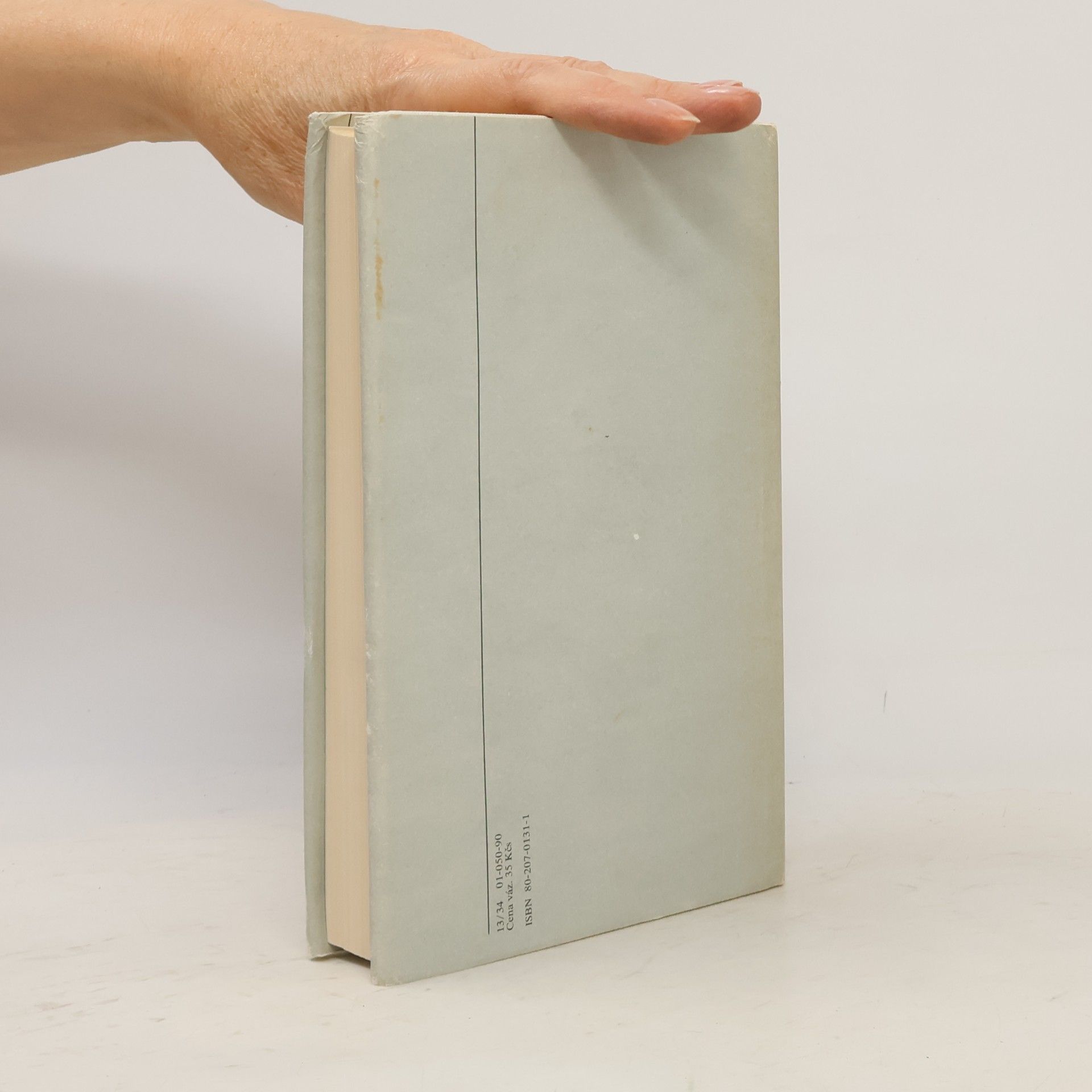 John Irving Svět podle Garpa