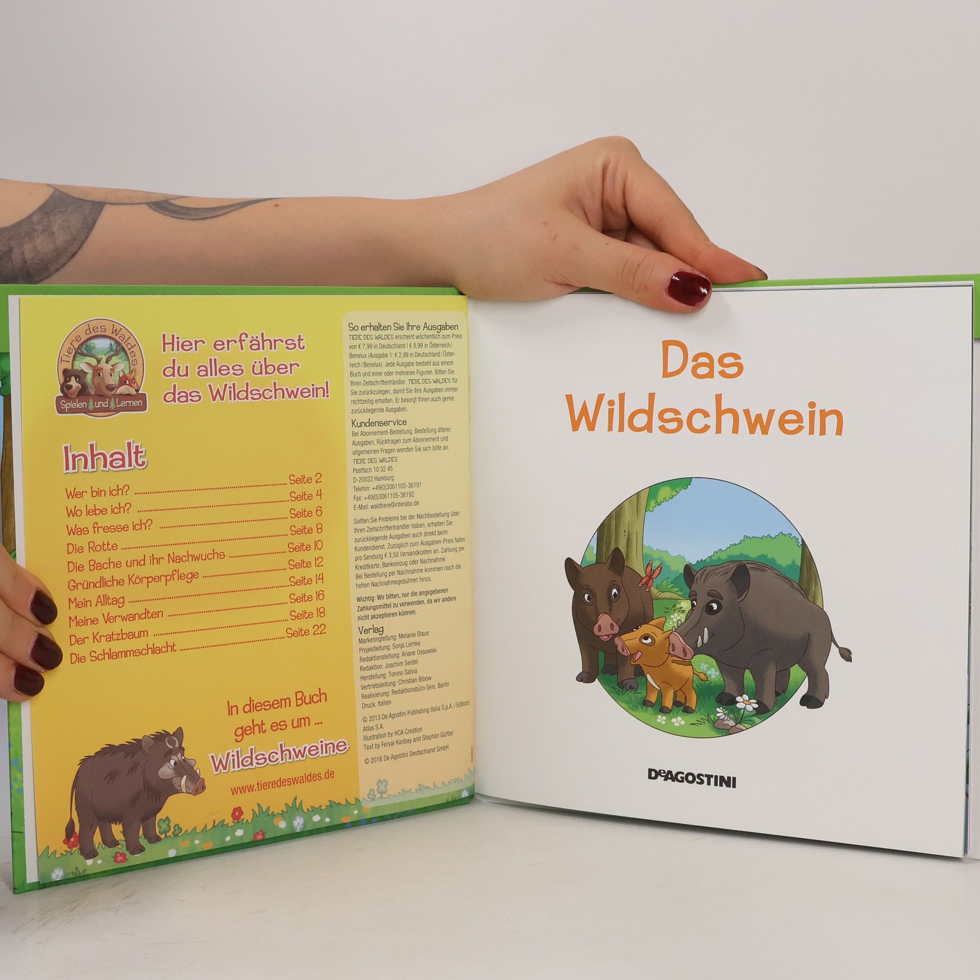 AA.VV. Leben im Wald. Das Wildschwein 19