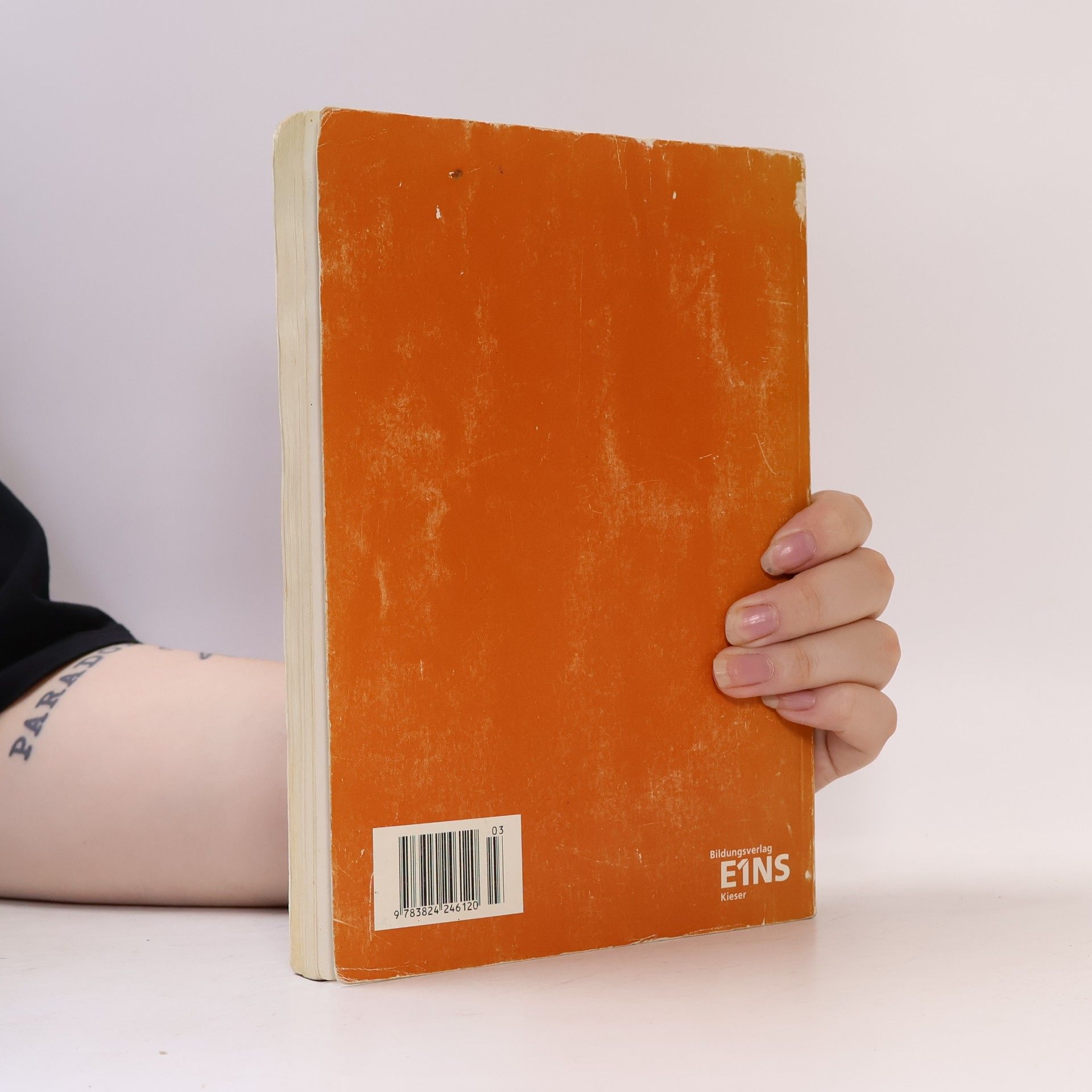 Hubert Lämmerzahl Fachmathematik Holz: Schülerband