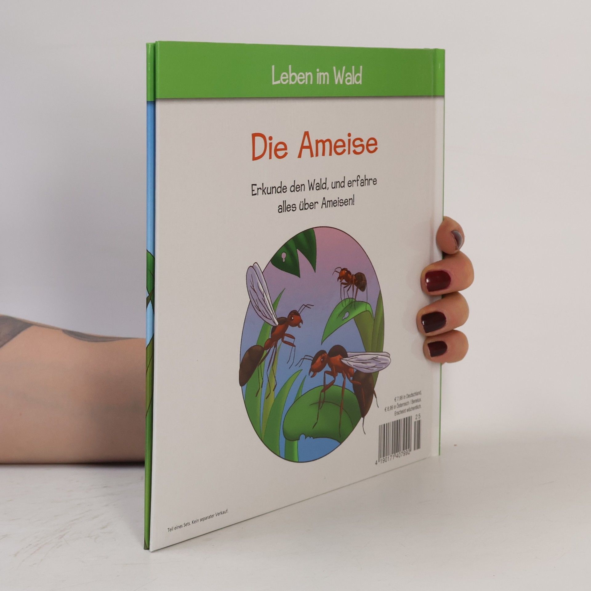 Kolektív autorov Die Ameise 25. Leben im Wald