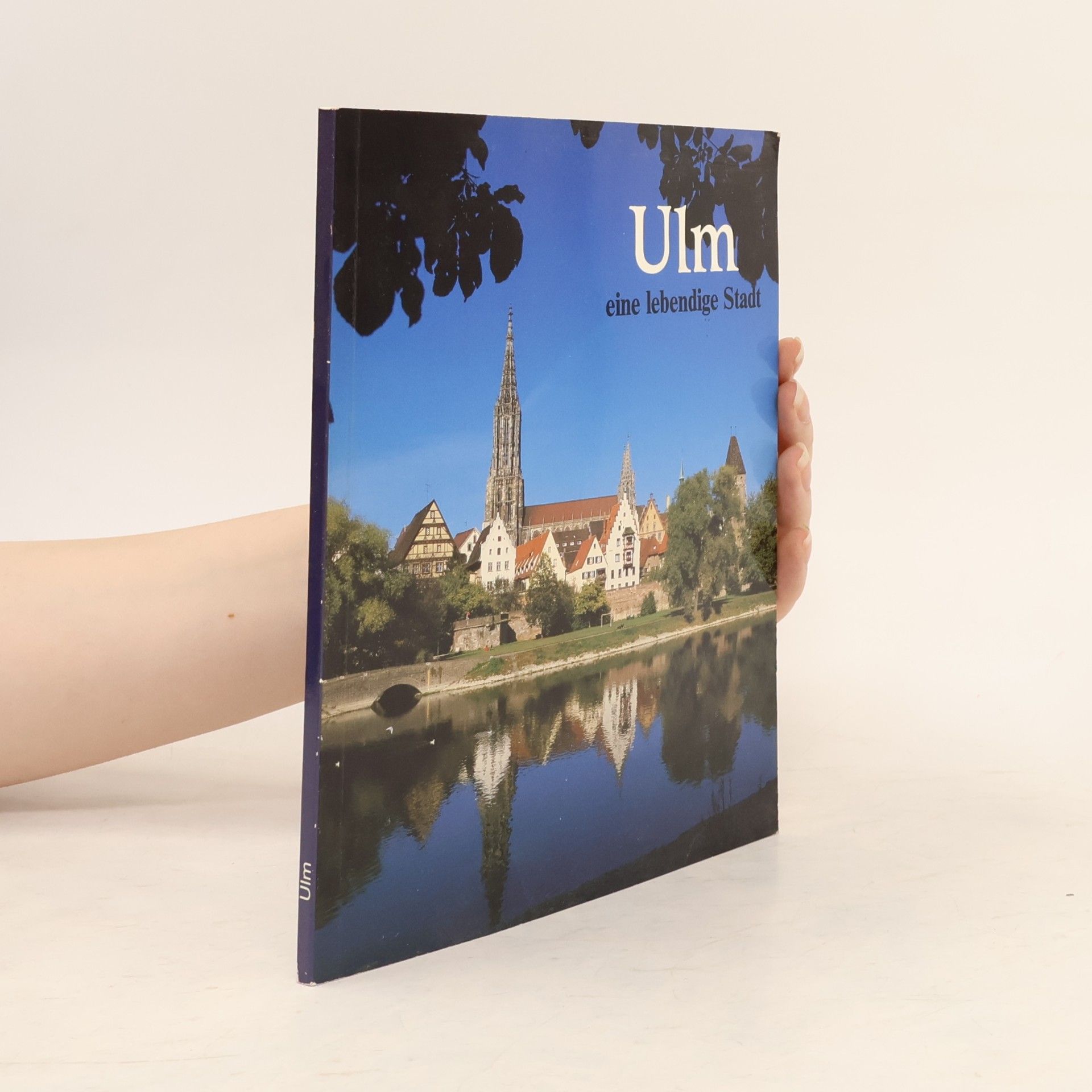 Autorenkollektiv Ulm, eine lebendige Stadt.