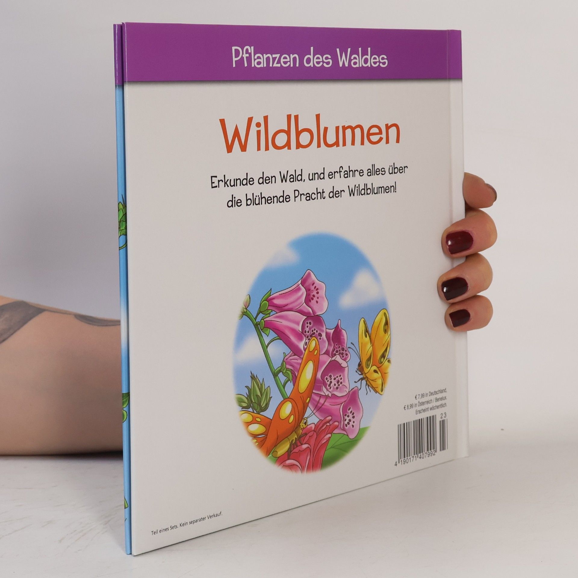 AA.VV. Pflanzen des Waldes 23. Wildblumen