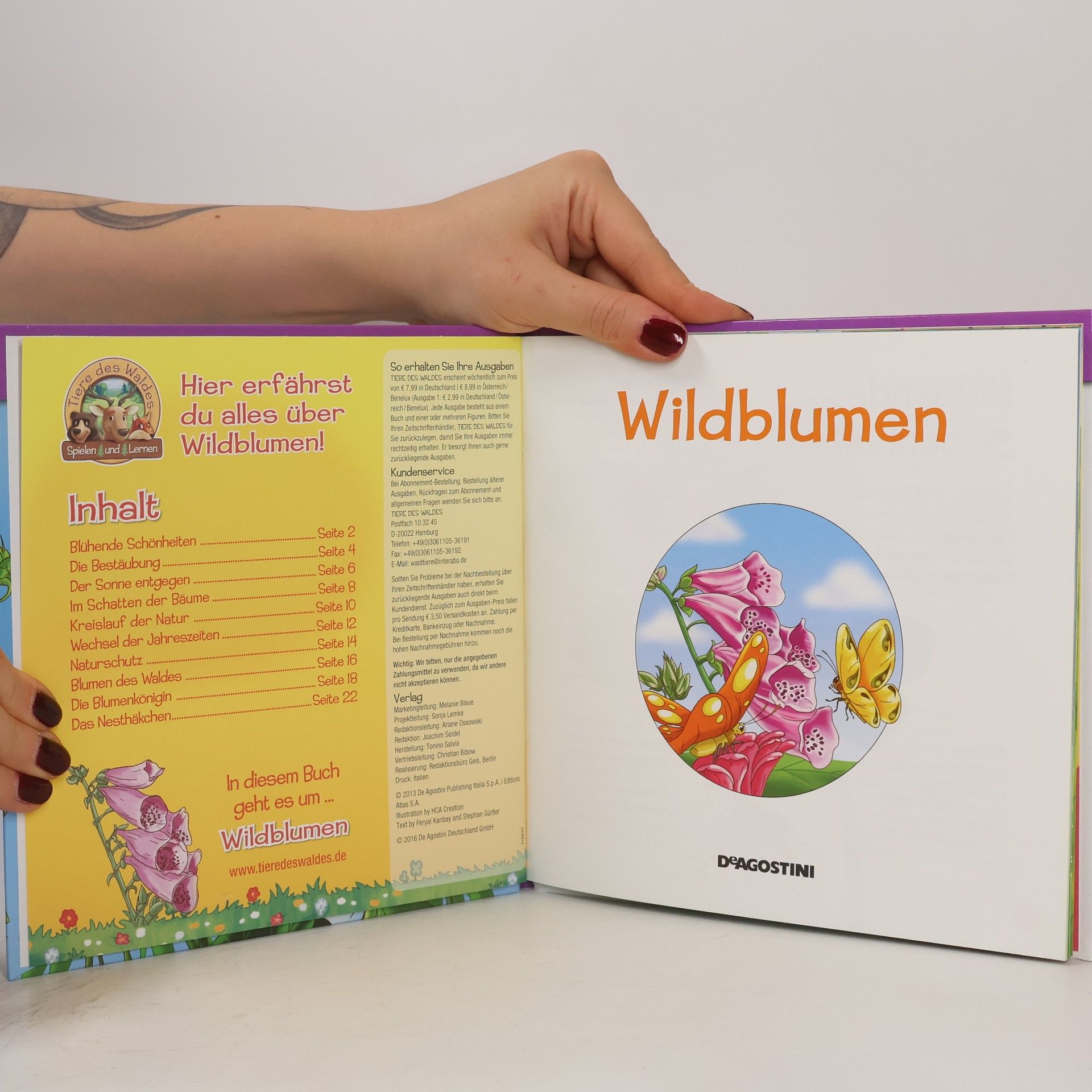 AA.VV. Pflanzen des Waldes 23. Wildblumen