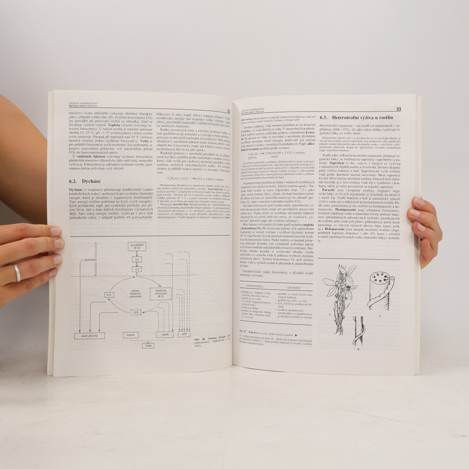 Autorenkollektiv Biologie rostlin. Pro 1. ročník gymnázií