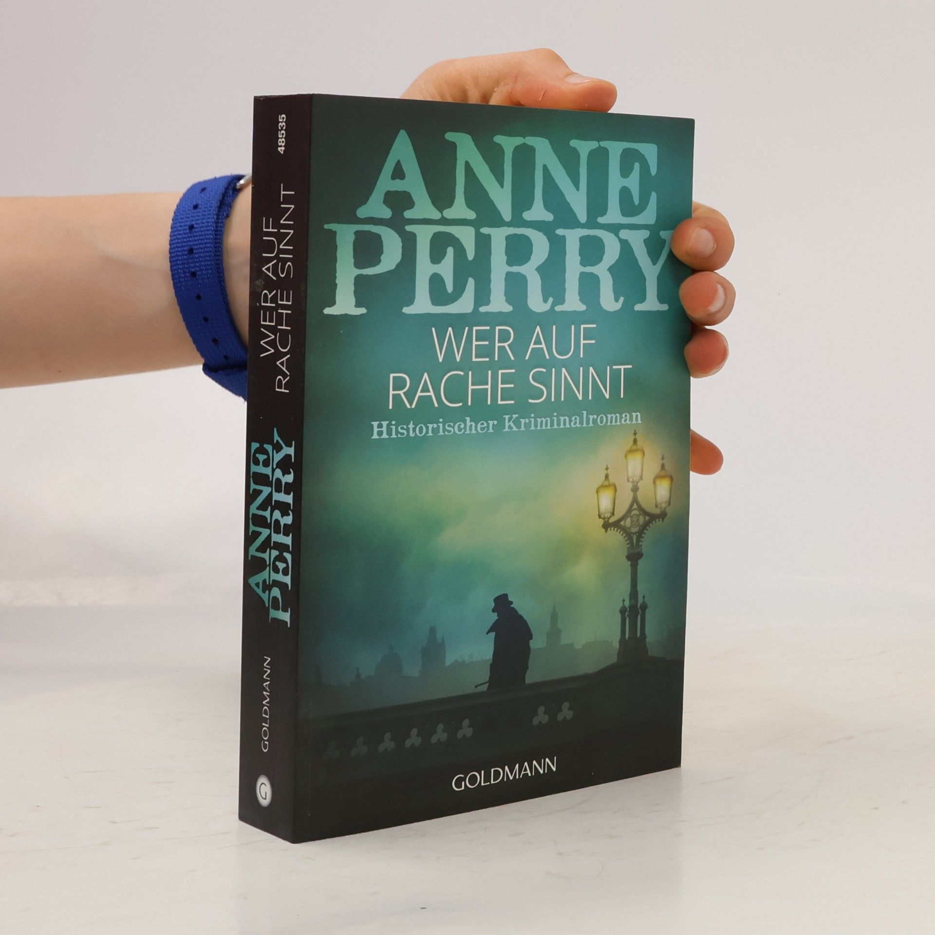 Anne Perry Wer auf Rache sinnt