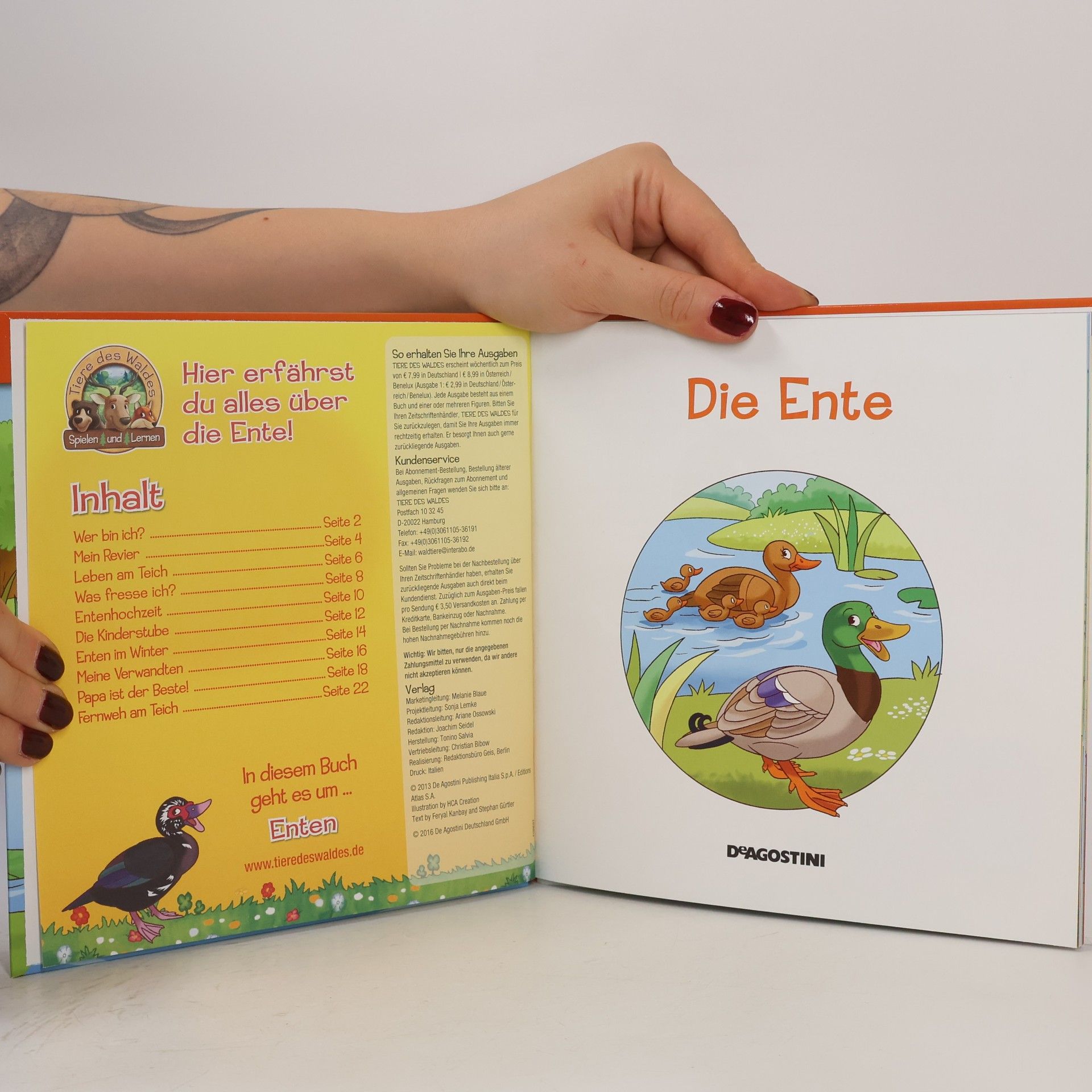 AA.VV. Pflanzen des Waldes 22. Die Ente