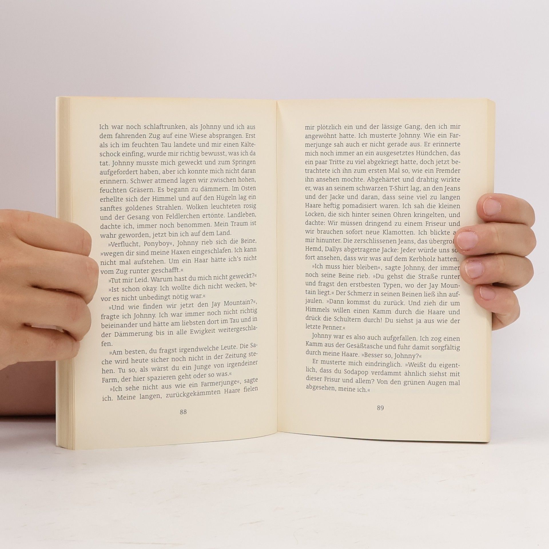 Susan E. Hinton Die Outsider