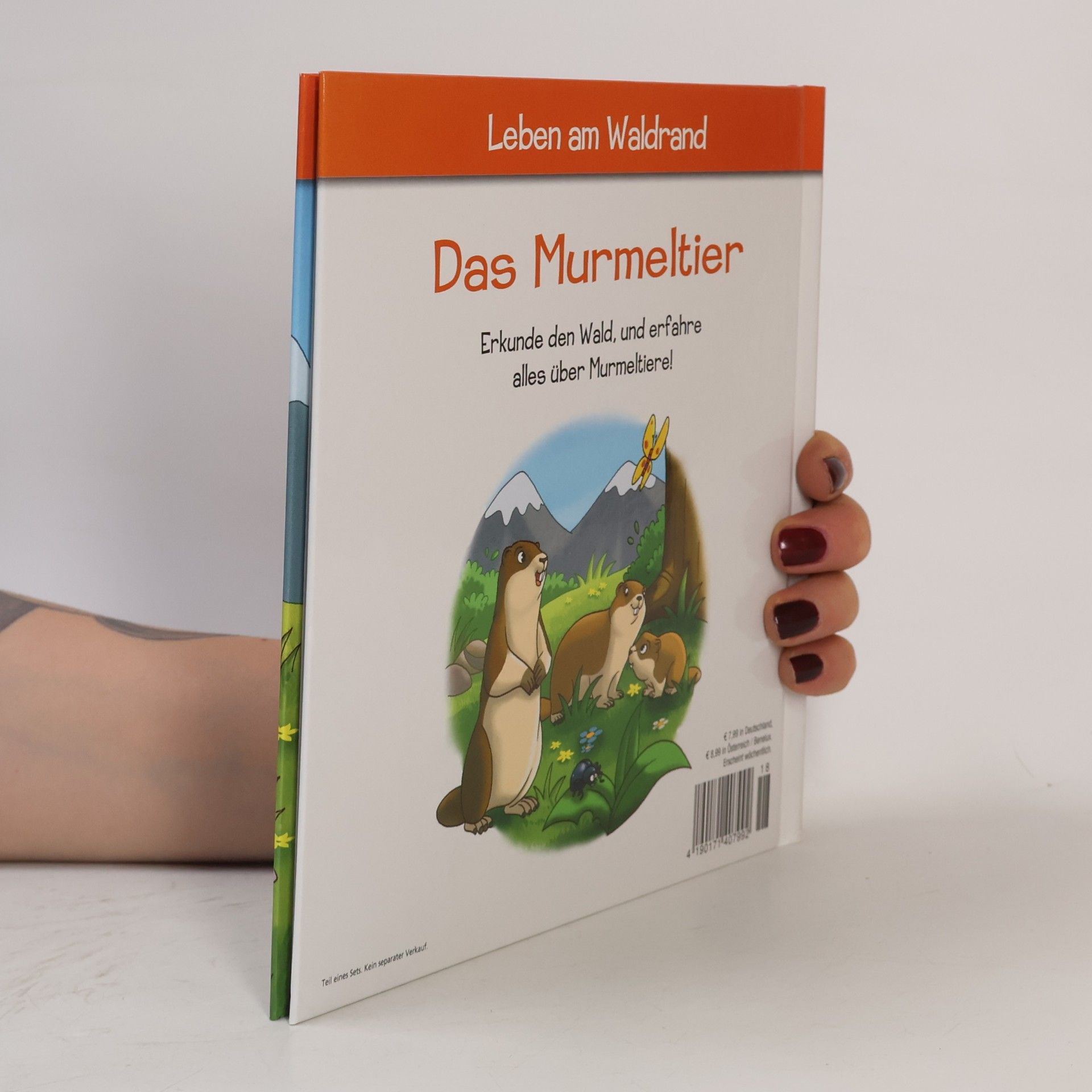 Autorenkollektiv Leben am Waldrand 18. Das Murmeltier