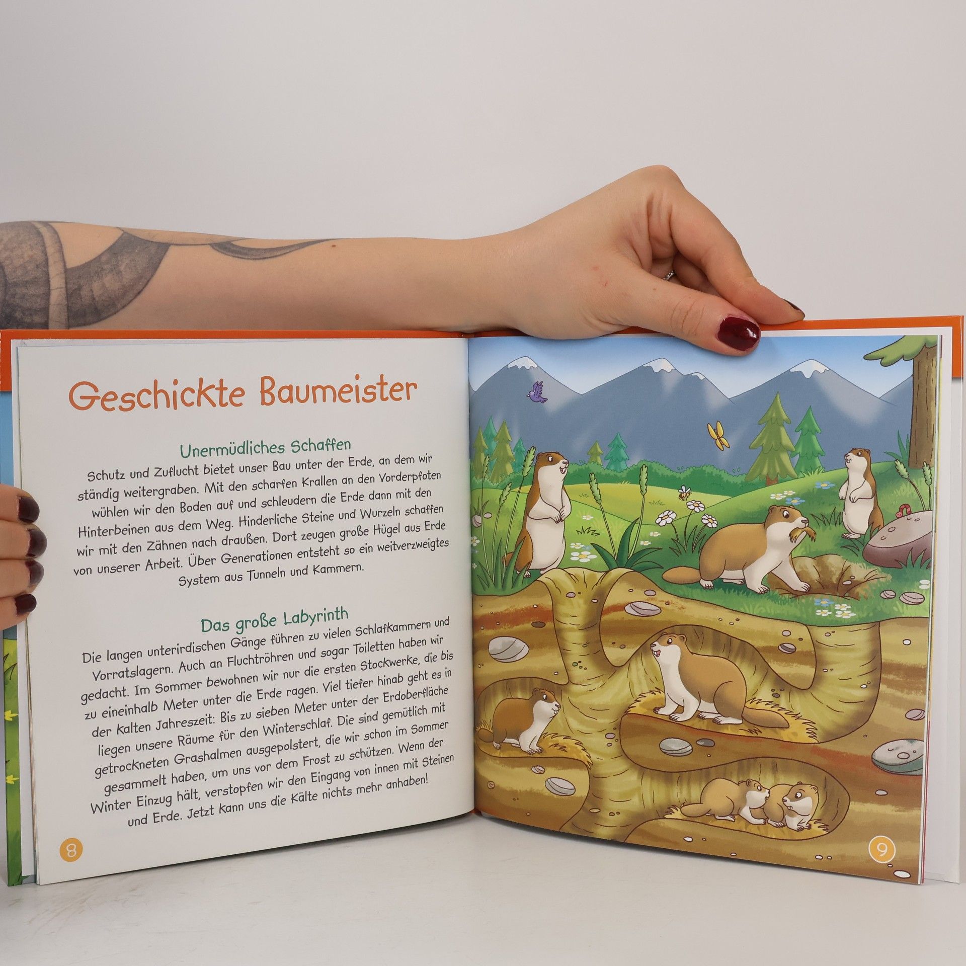 Autorenkollektiv Leben am Waldrand 18. Das Murmeltier