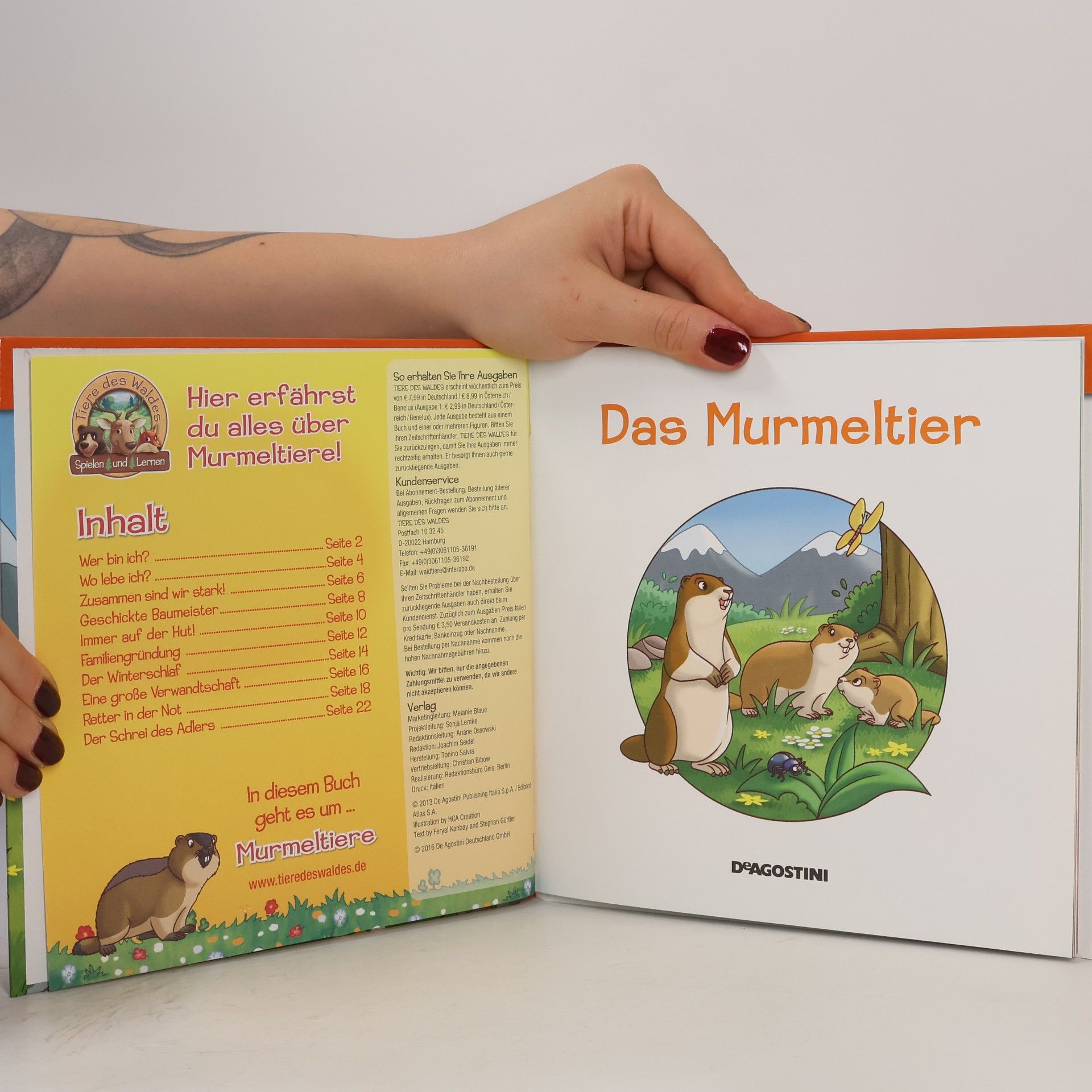 Autorenkollektiv Leben am Waldrand 18. Das Murmeltier