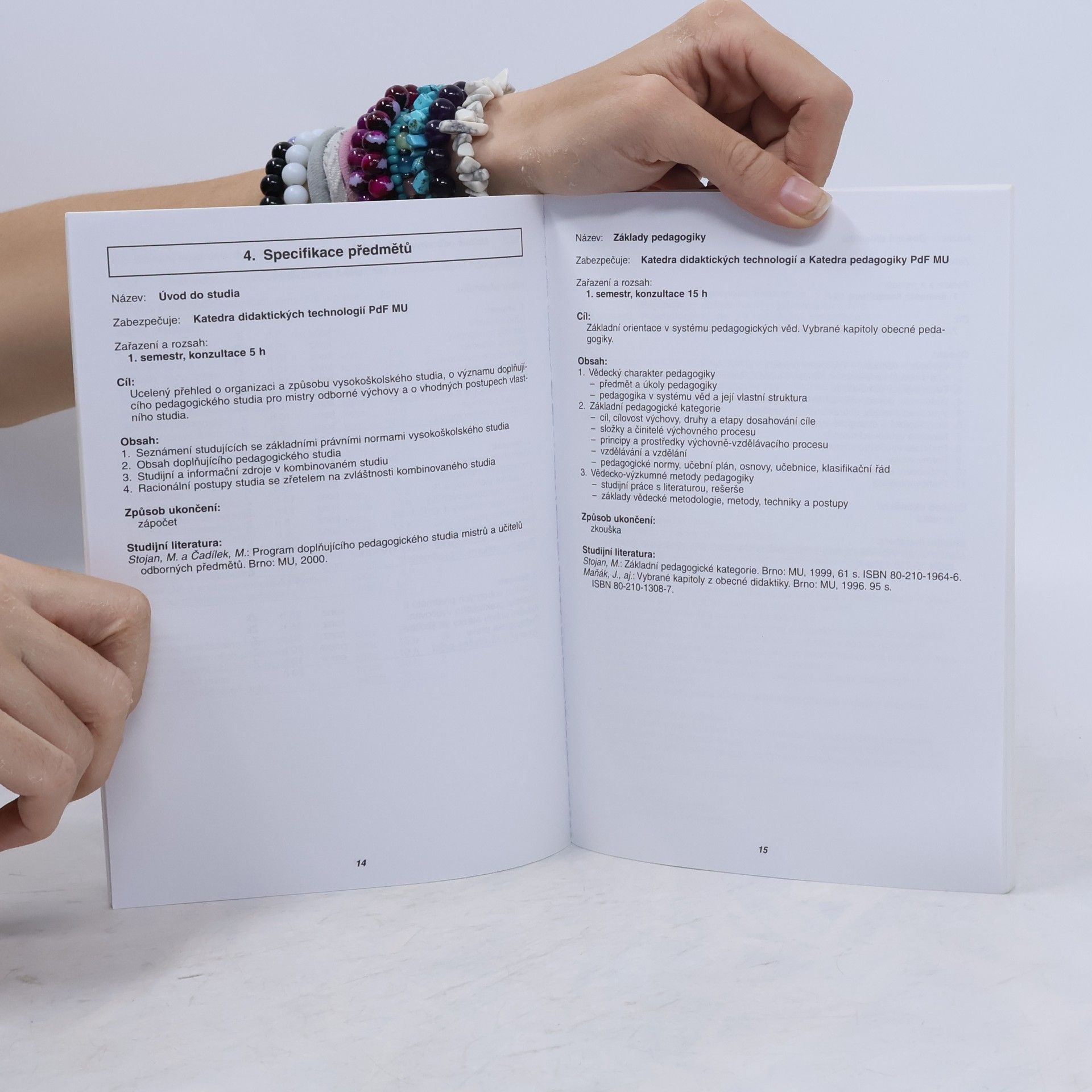 Mojmír Stojan Program doplňujícího pedagogického studia pro mistry a učitele odborných předmětů