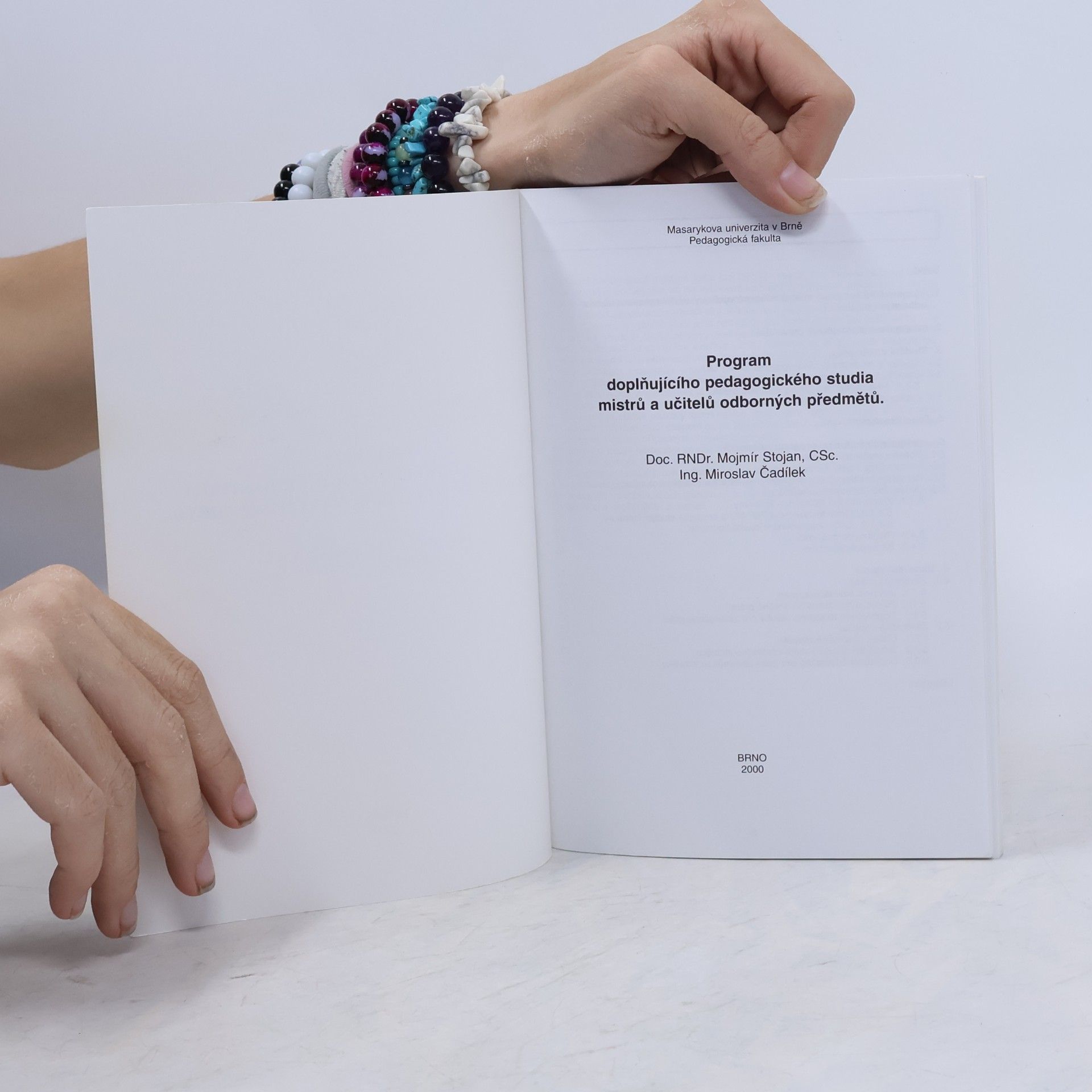 Mojmír Stojan Program doplňujícího pedagogického studia pro mistry a učitele odborných předmětů