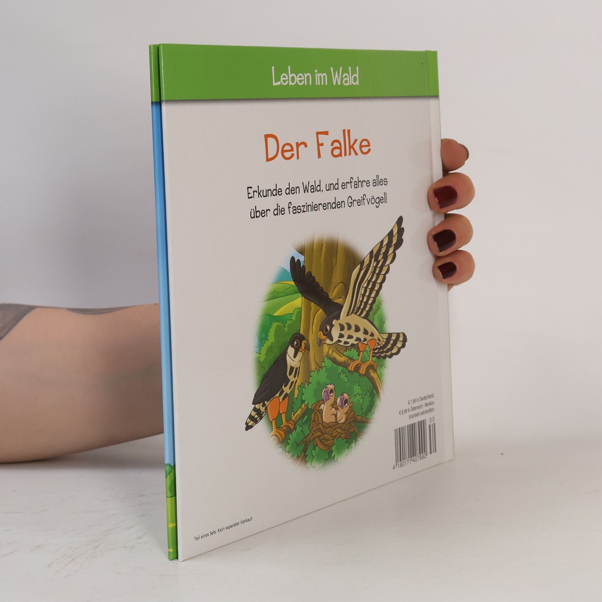 AA.VV. Der Falke