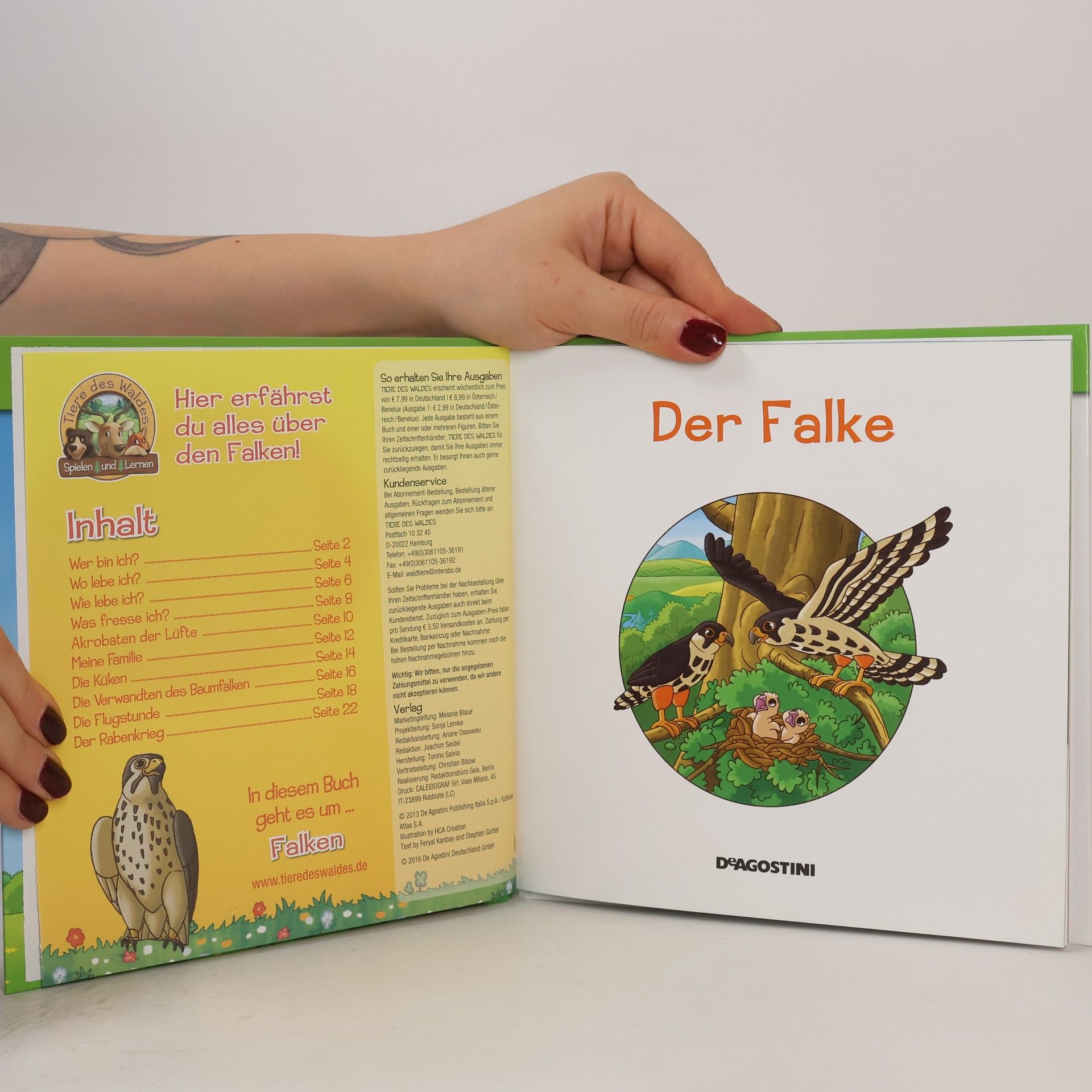 AA.VV. Der Falke