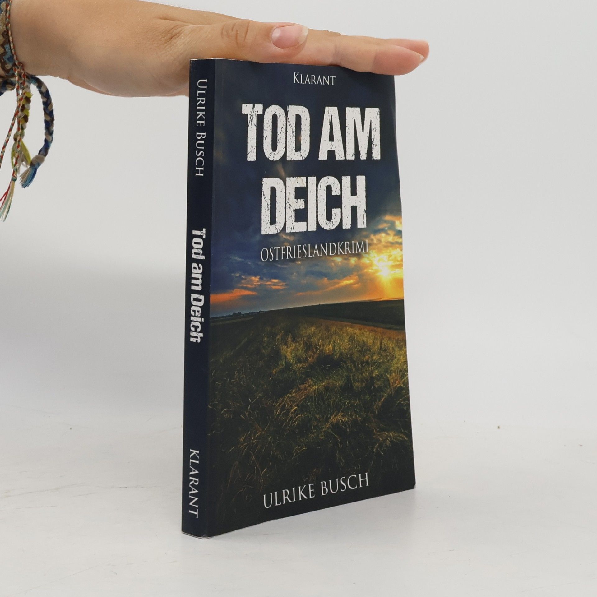Ulrike Busch Tod am Deich
