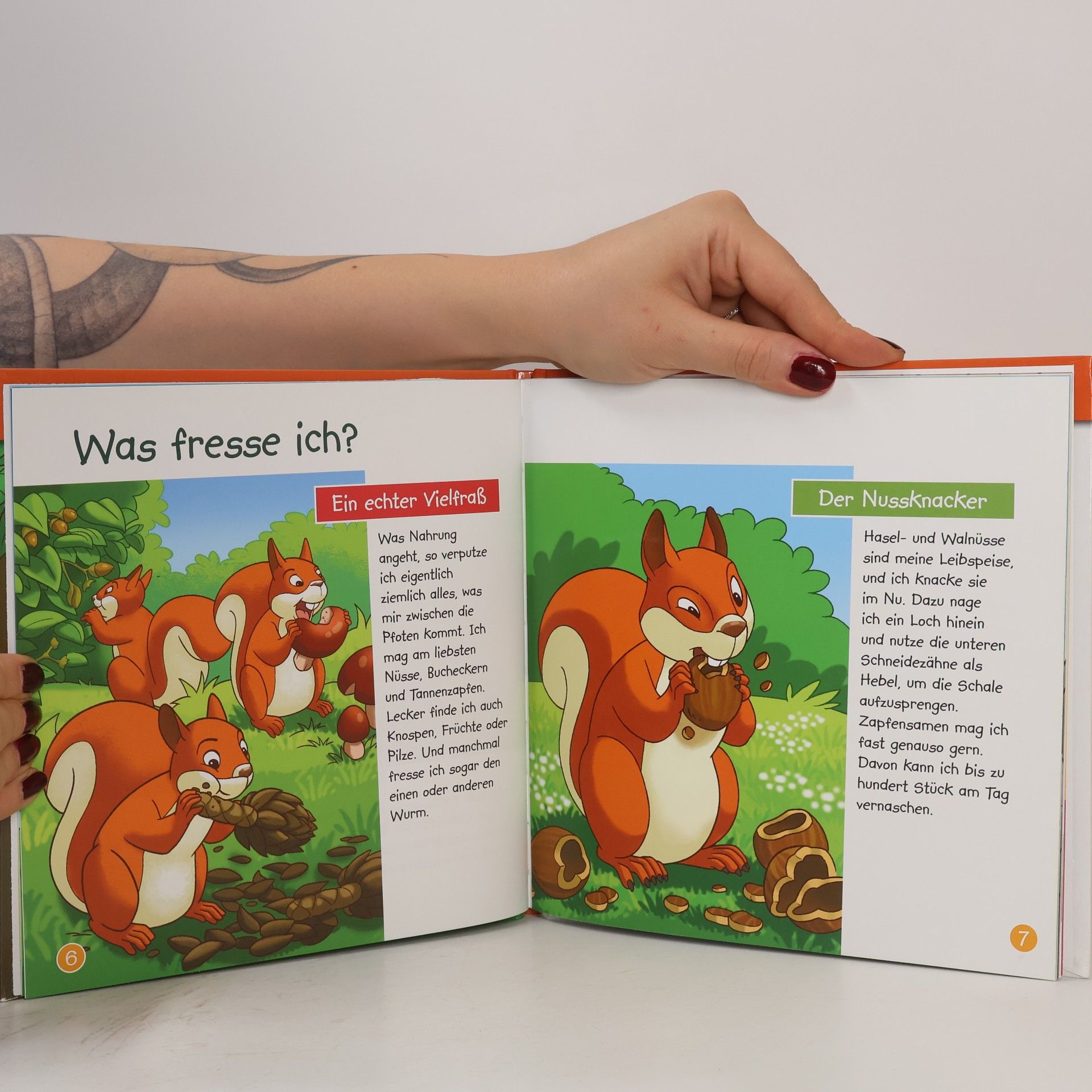 Kolektiv autorů Das Eichhörnchen 5