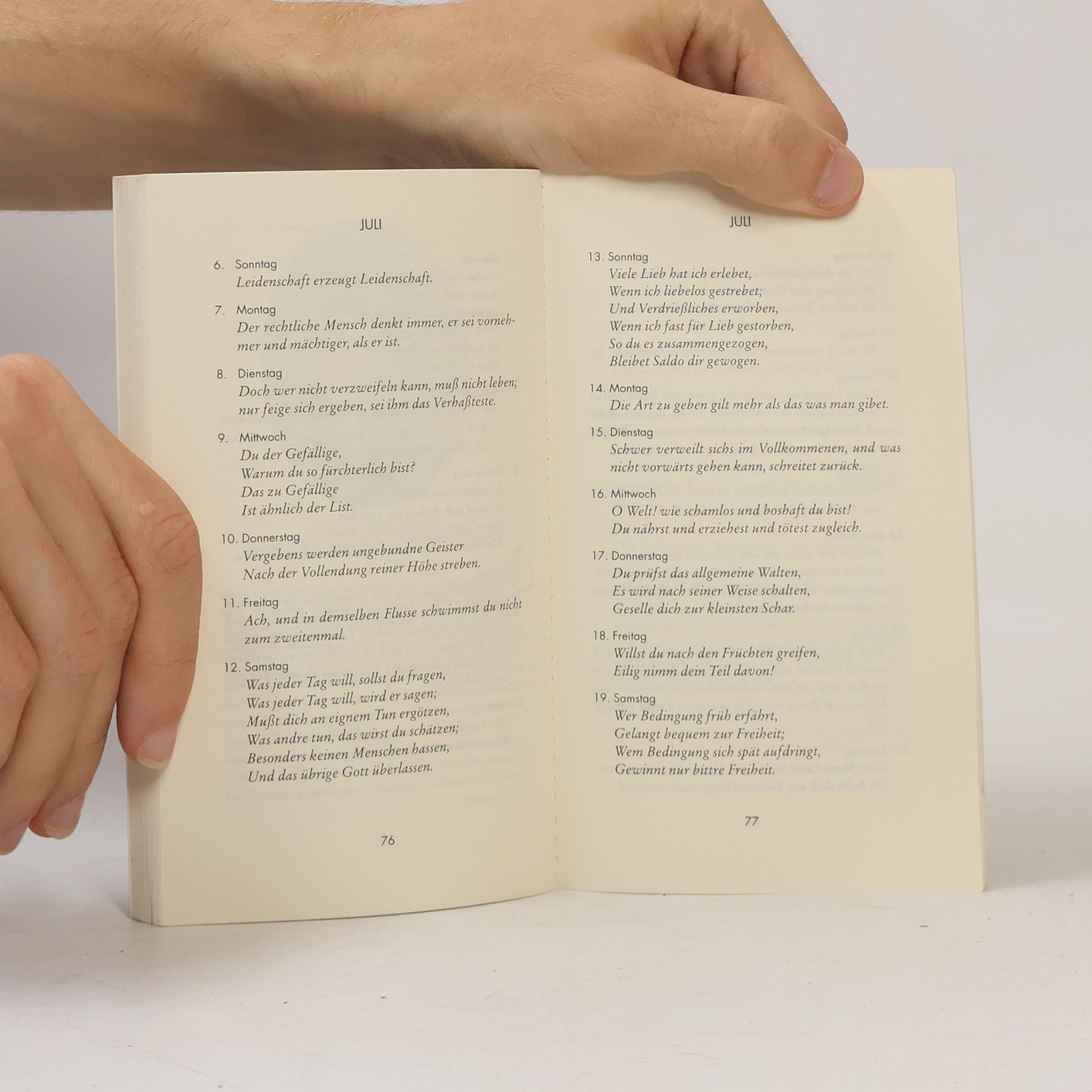 Collectif d'auteurs Mit Goethe durch das Jahr 2003
