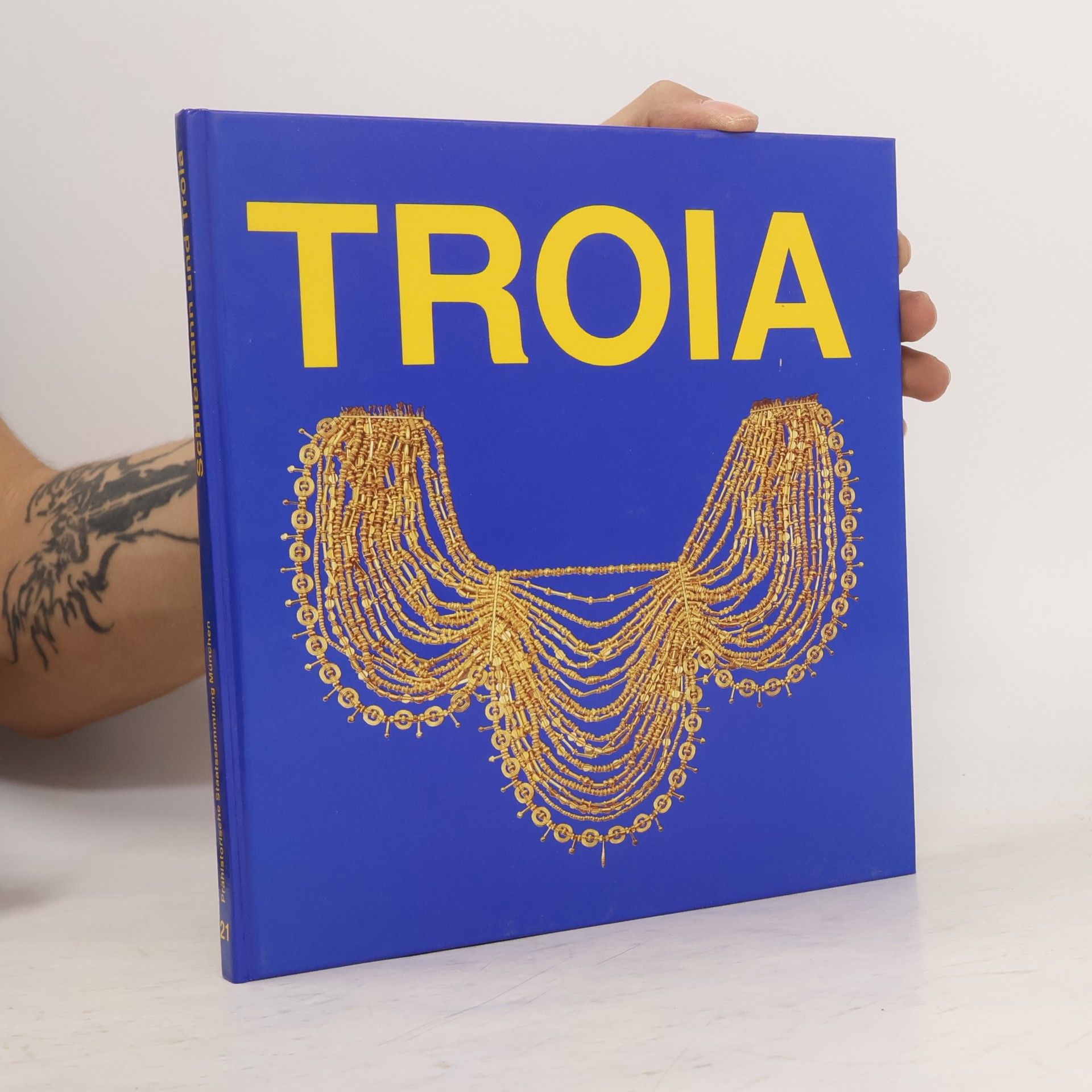 AA.VV. Schliemann und Troia