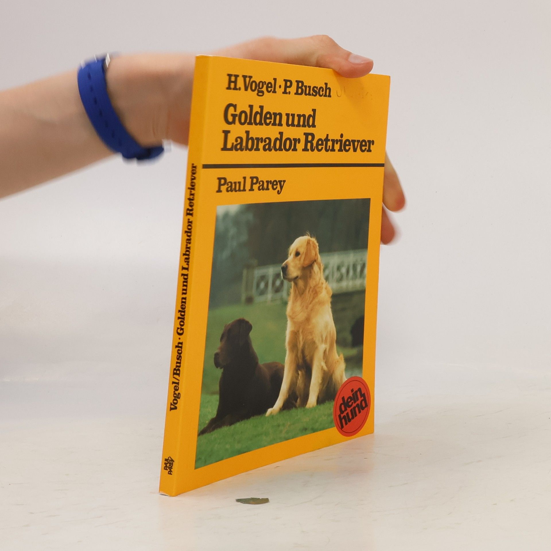 Hilary Vogel Golden und Labrador Retriever