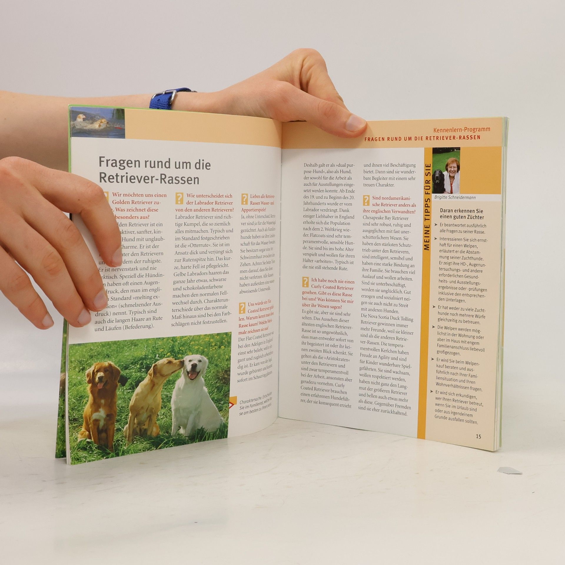 Brigitte Schneidermann Retriever