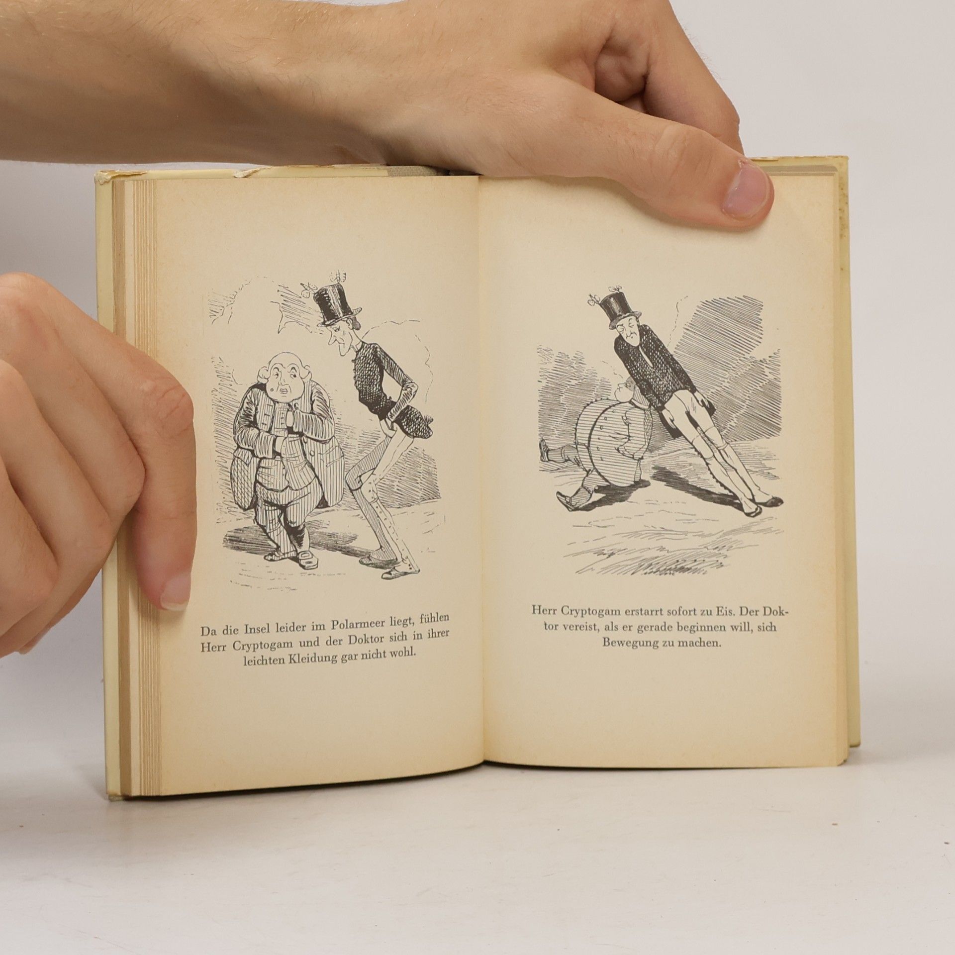 Rodolphe Töpffer Der kühle Bräutigam