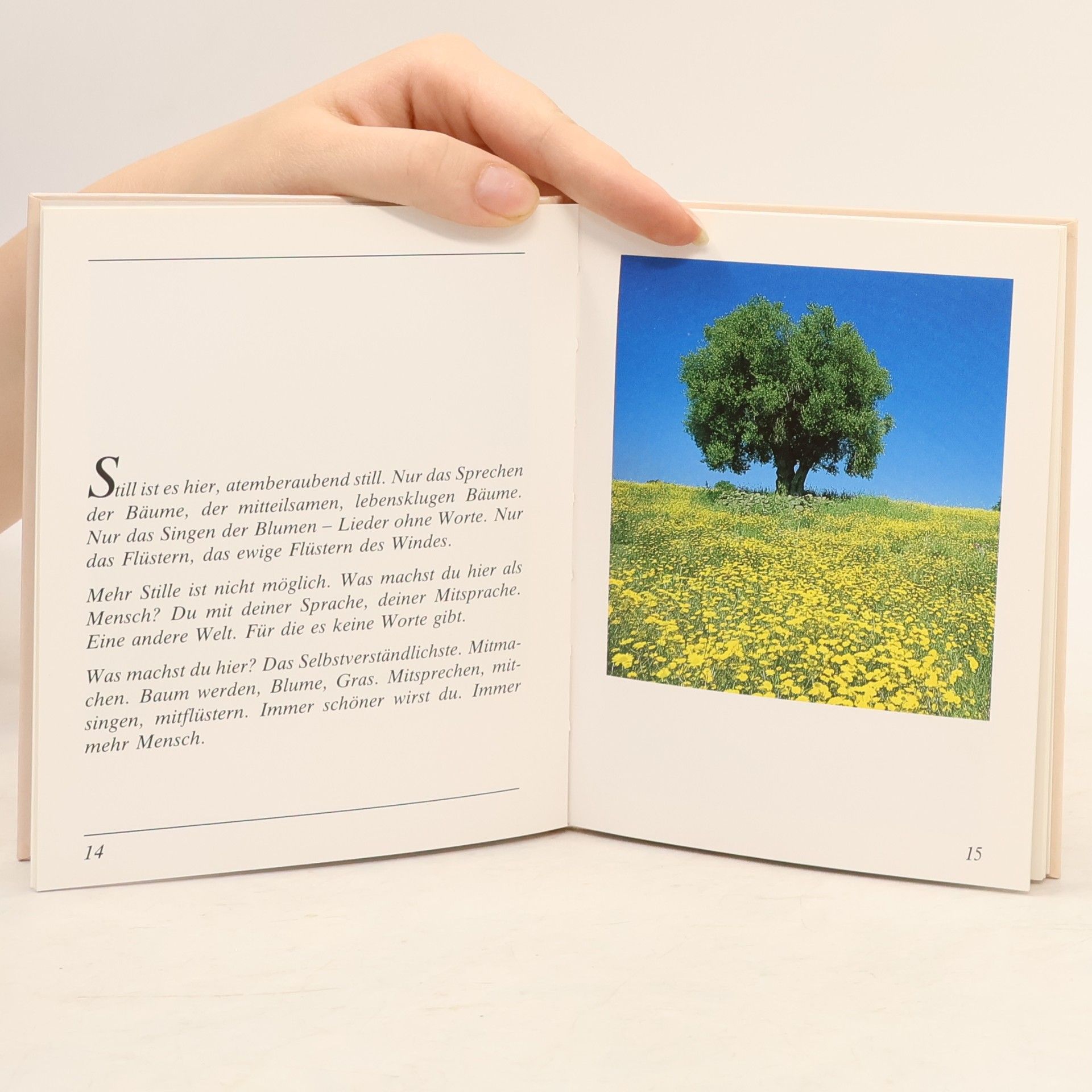 Hans Bouma Lichtblicke: Sprache der Stille