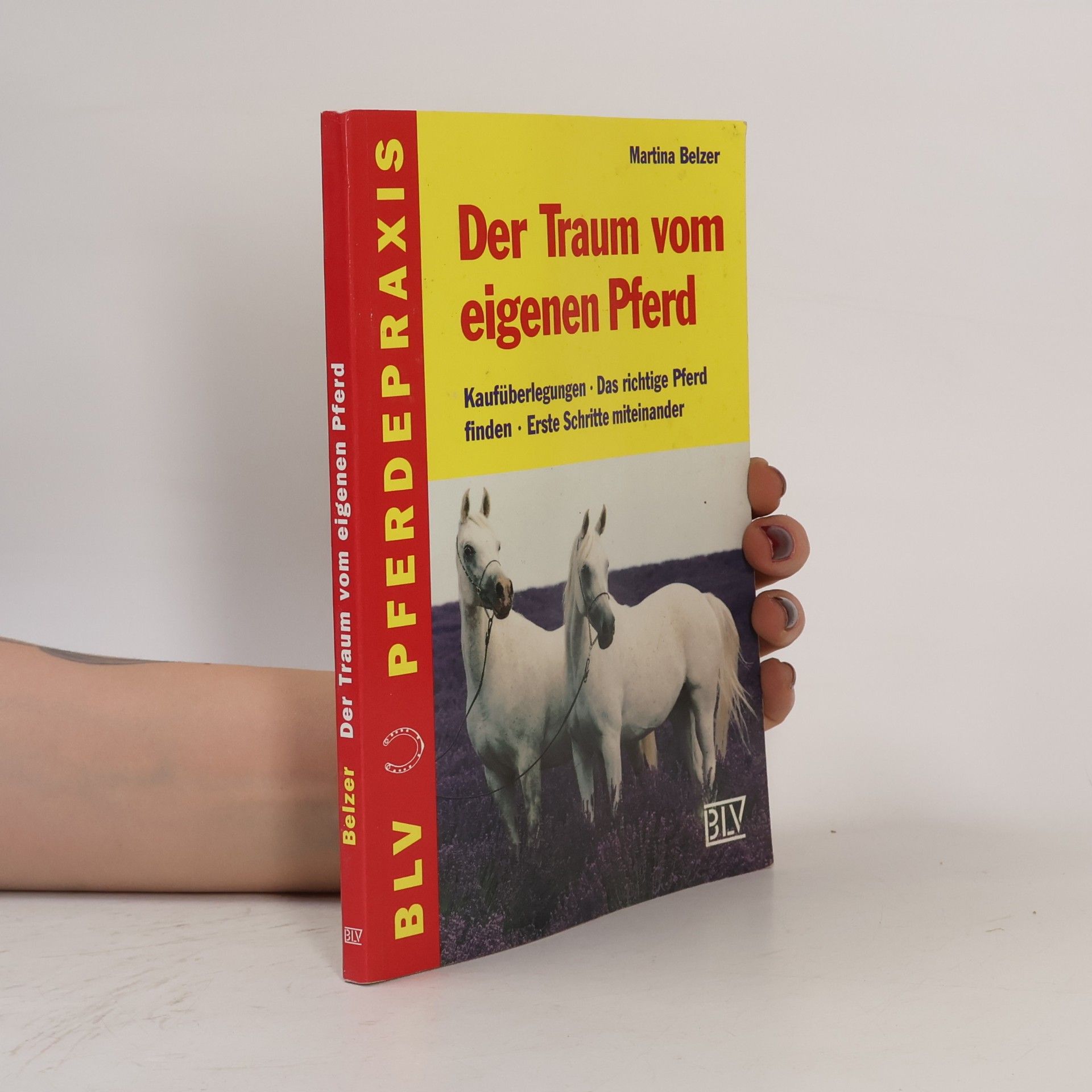 Martina Belzer Der Traum vom eigenen Pferd