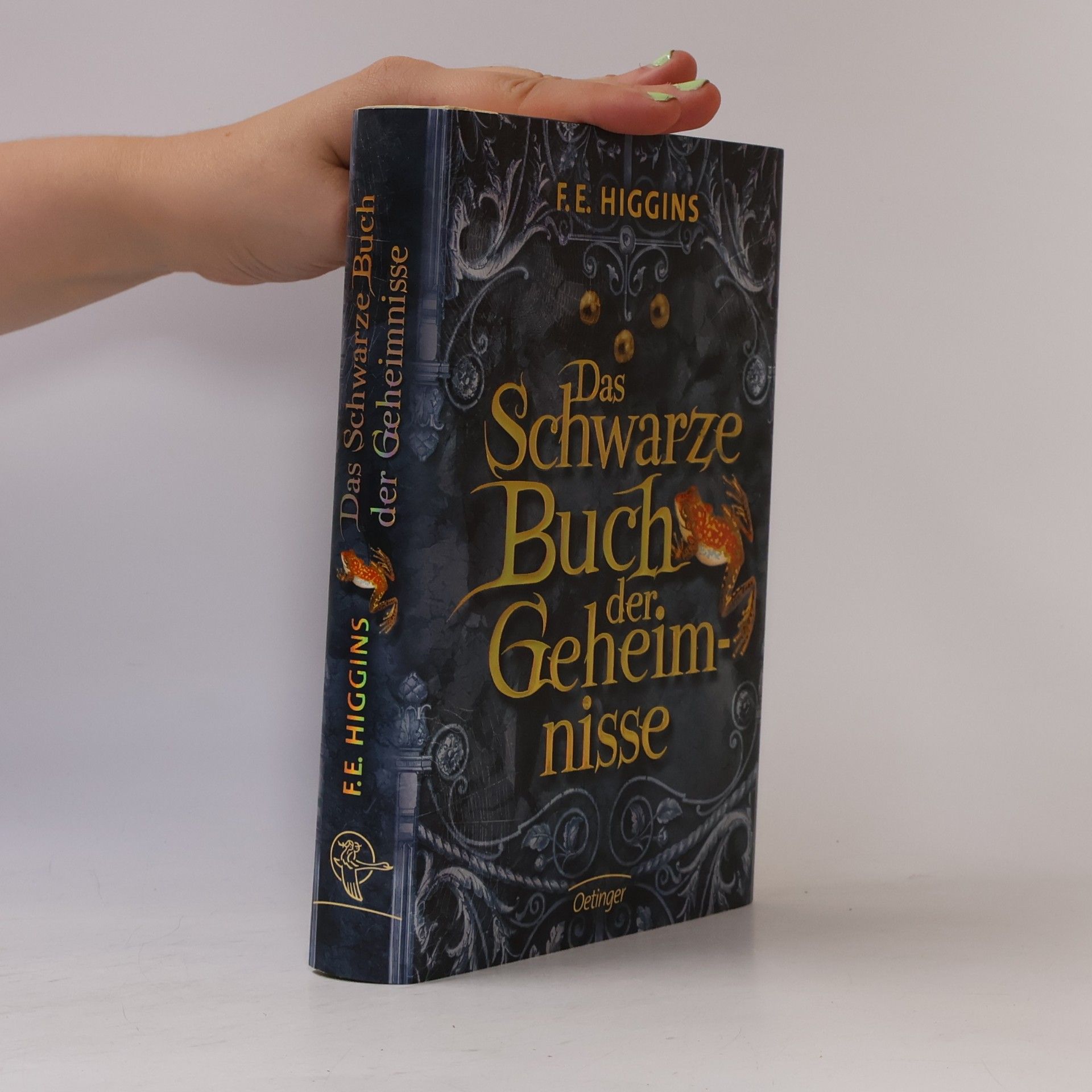 F. E. Higgins Das schwarze Buch der Geheimnisse