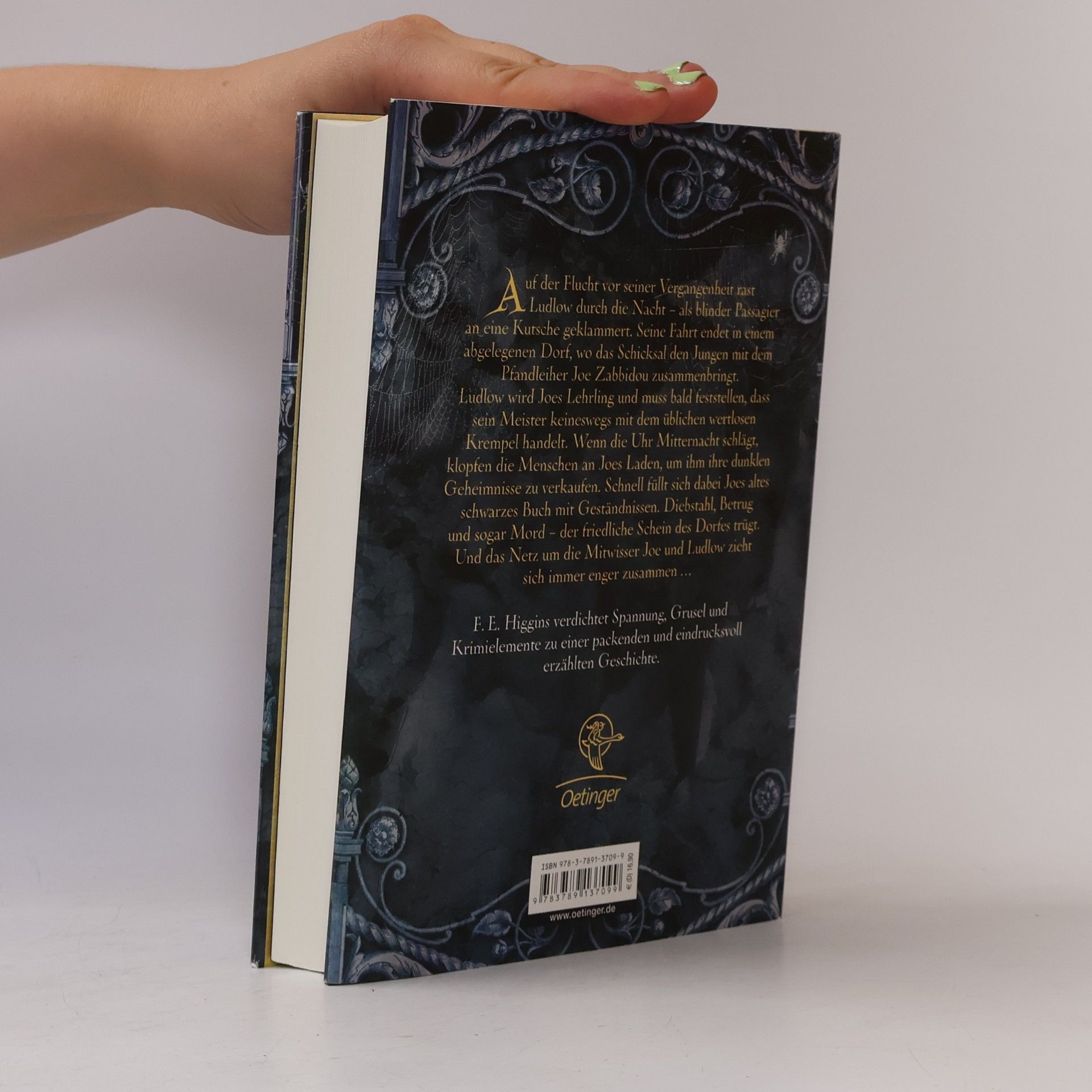 F. E. Higgins Das schwarze Buch der Geheimnisse