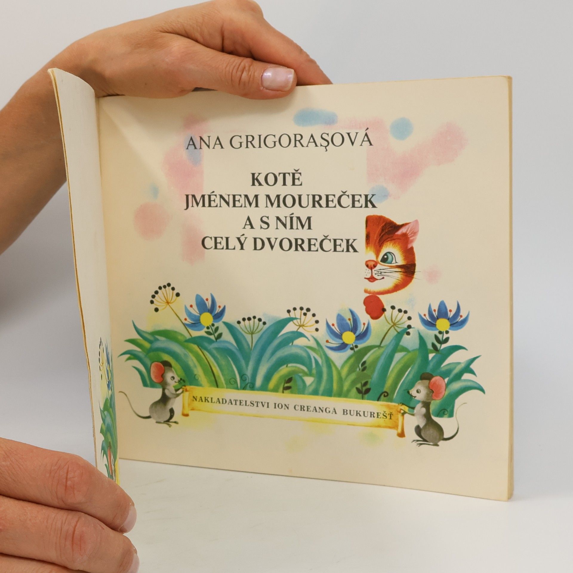 Ana Grigorašová Kotě jménem Moureček a s ním celý dvoreček