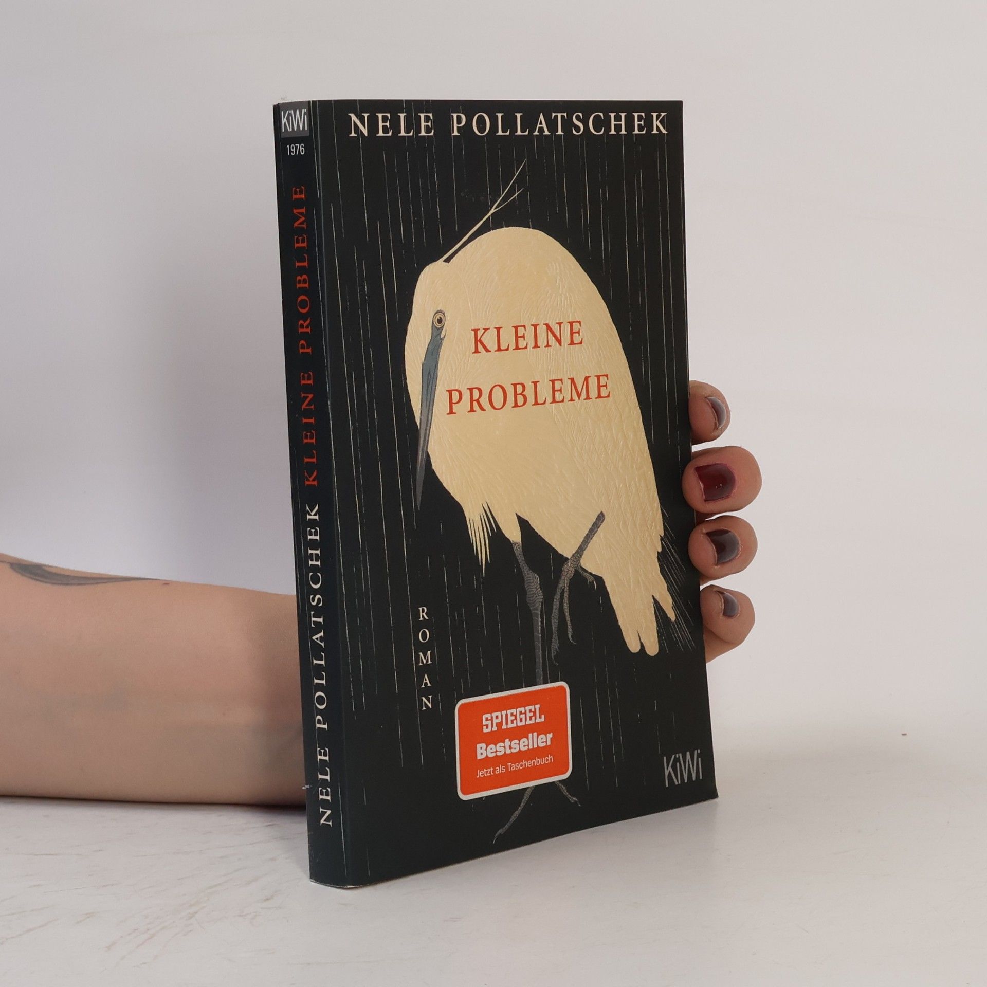 Nele Pollatschek Kleine Probleme