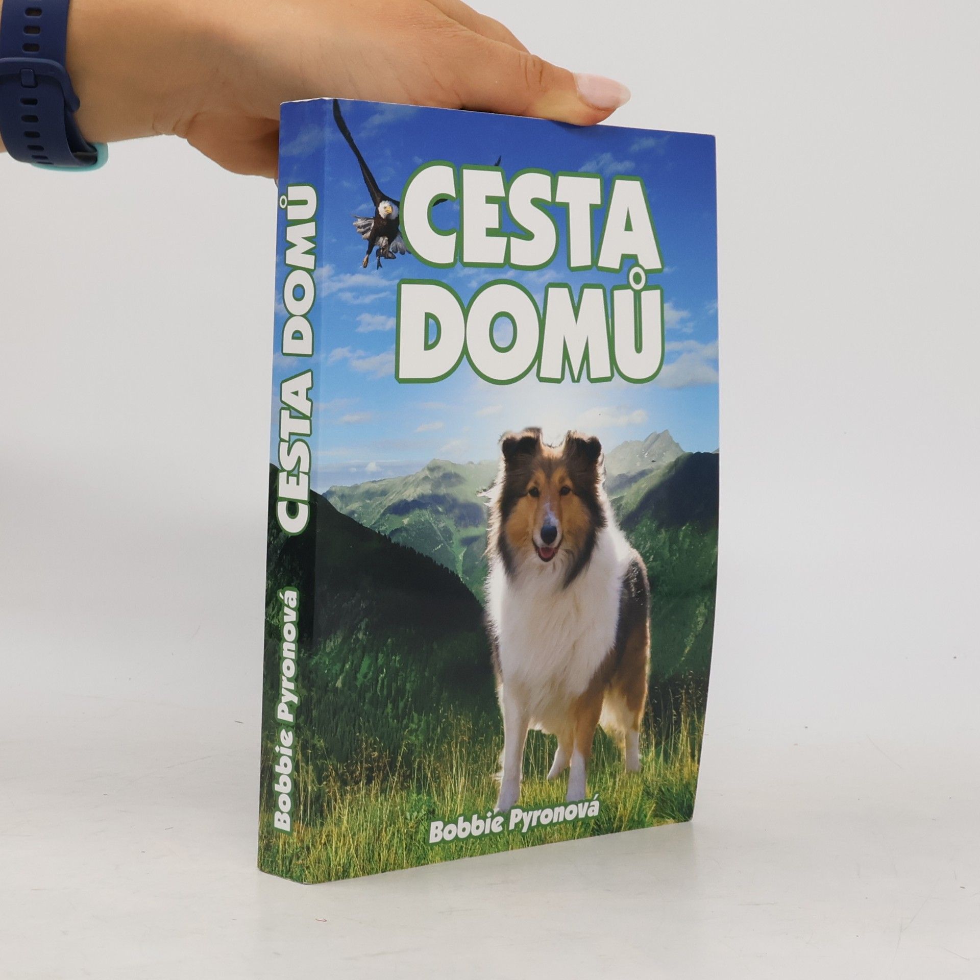 Bobbie Pyron Cesta domů