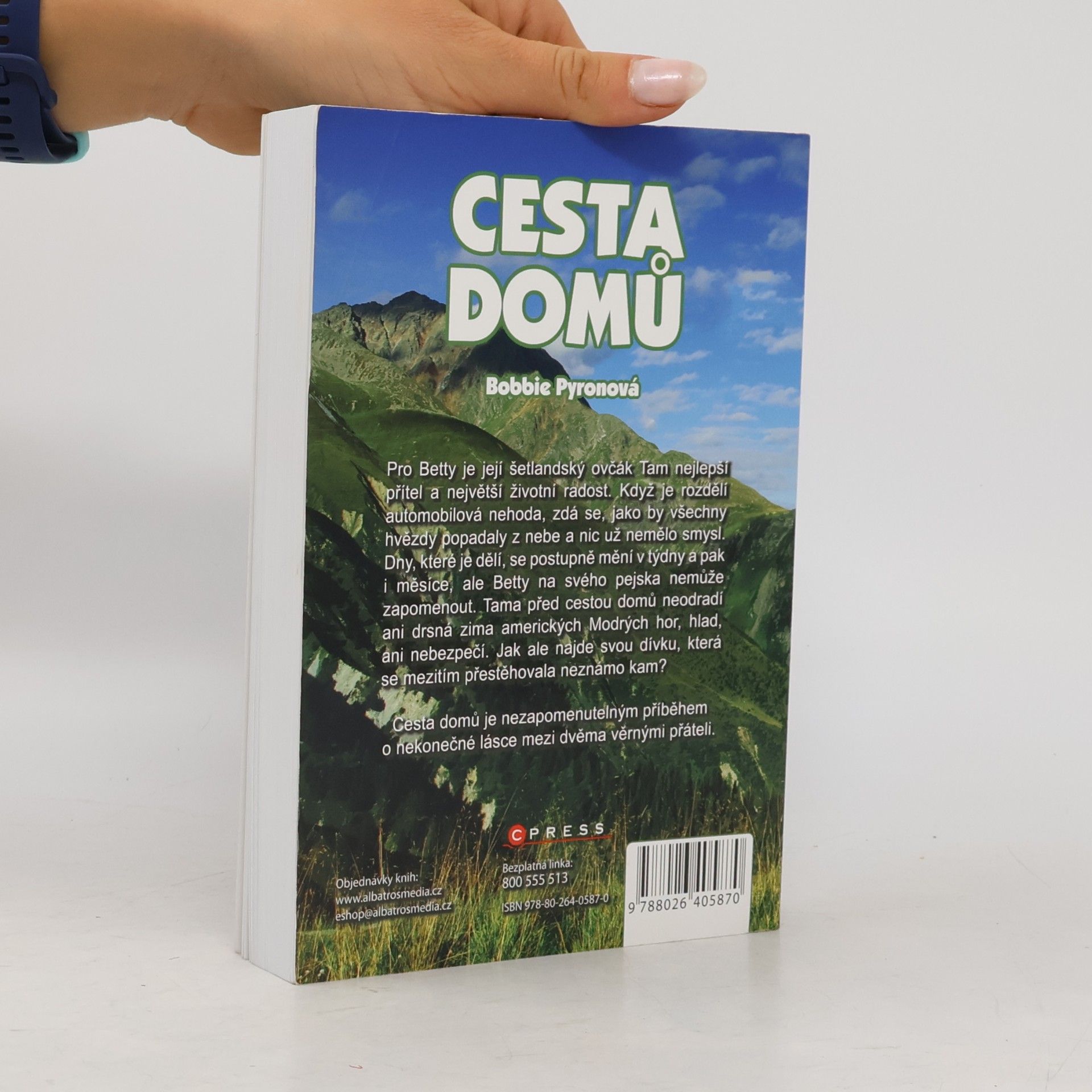 Bobbie Pyron Cesta domů