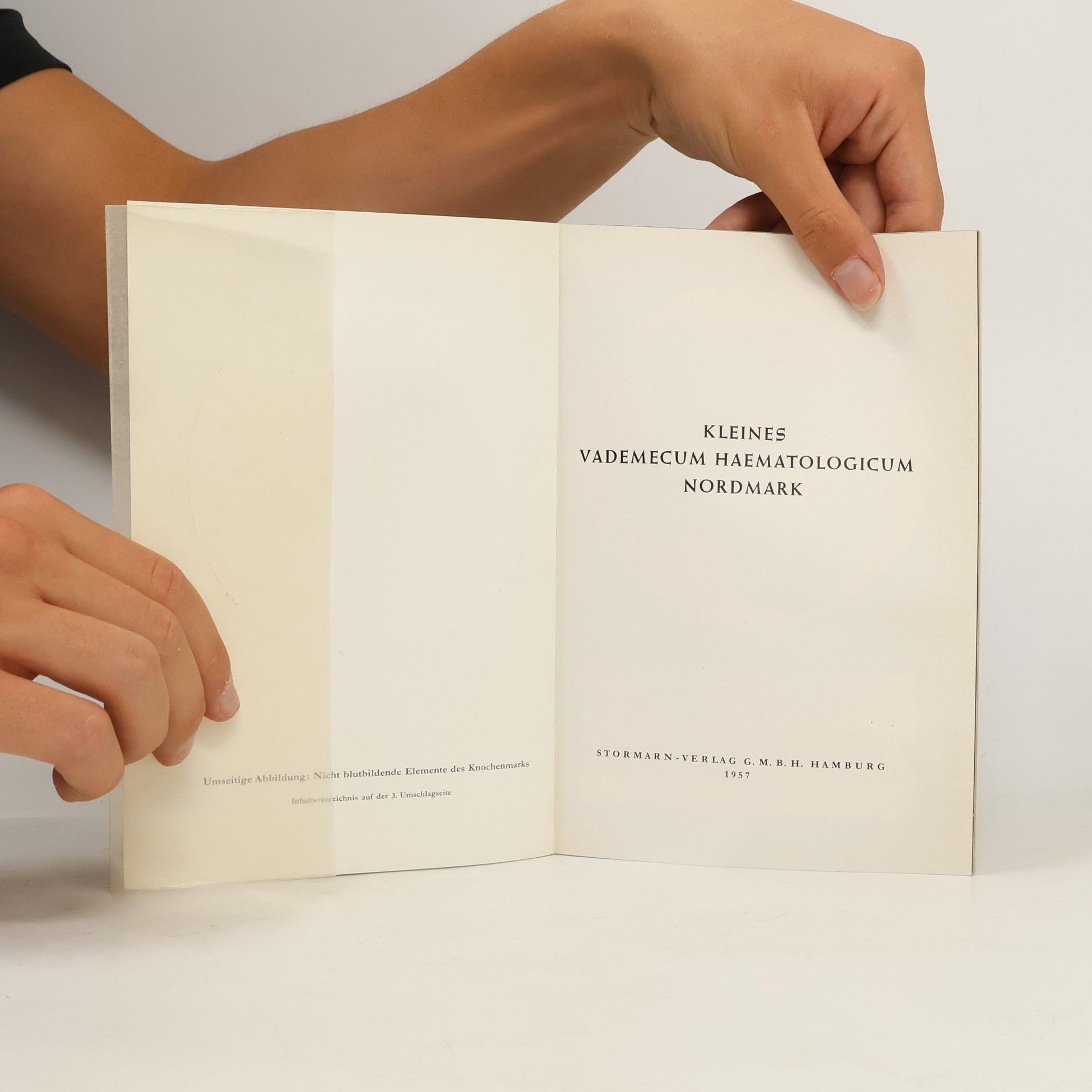 Auteurscollectief Kleines Vademecum Haematologicum Nordmark