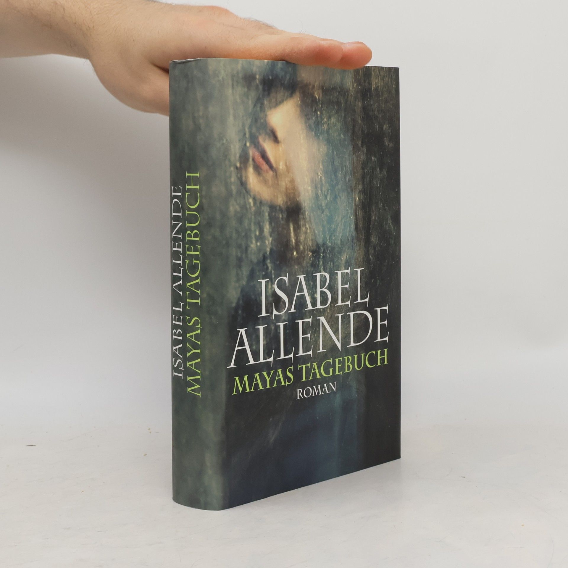 Isabel Allende Mayas Tagebuch