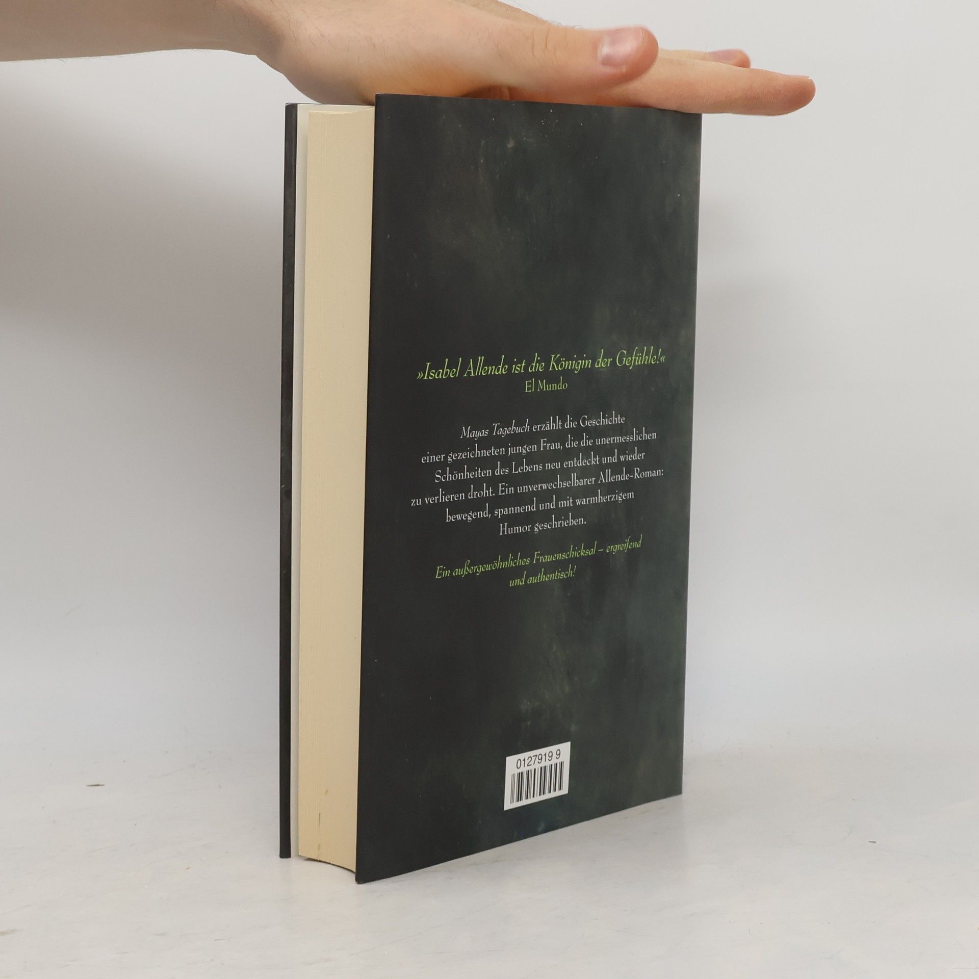 Isabel Allende Mayas Tagebuch