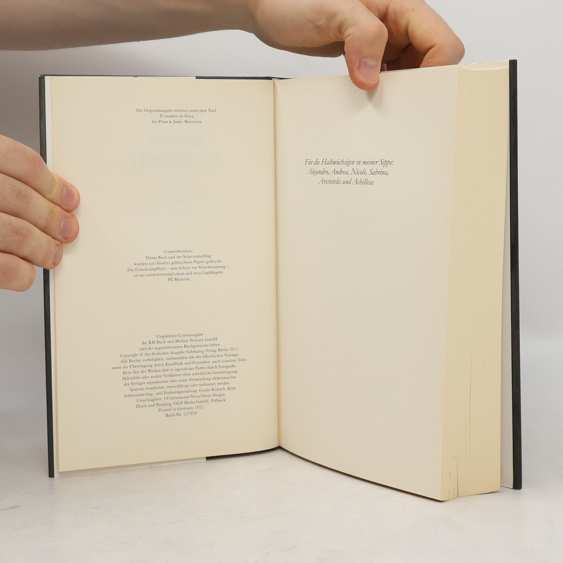 Isabel Allende Mayas Tagebuch
