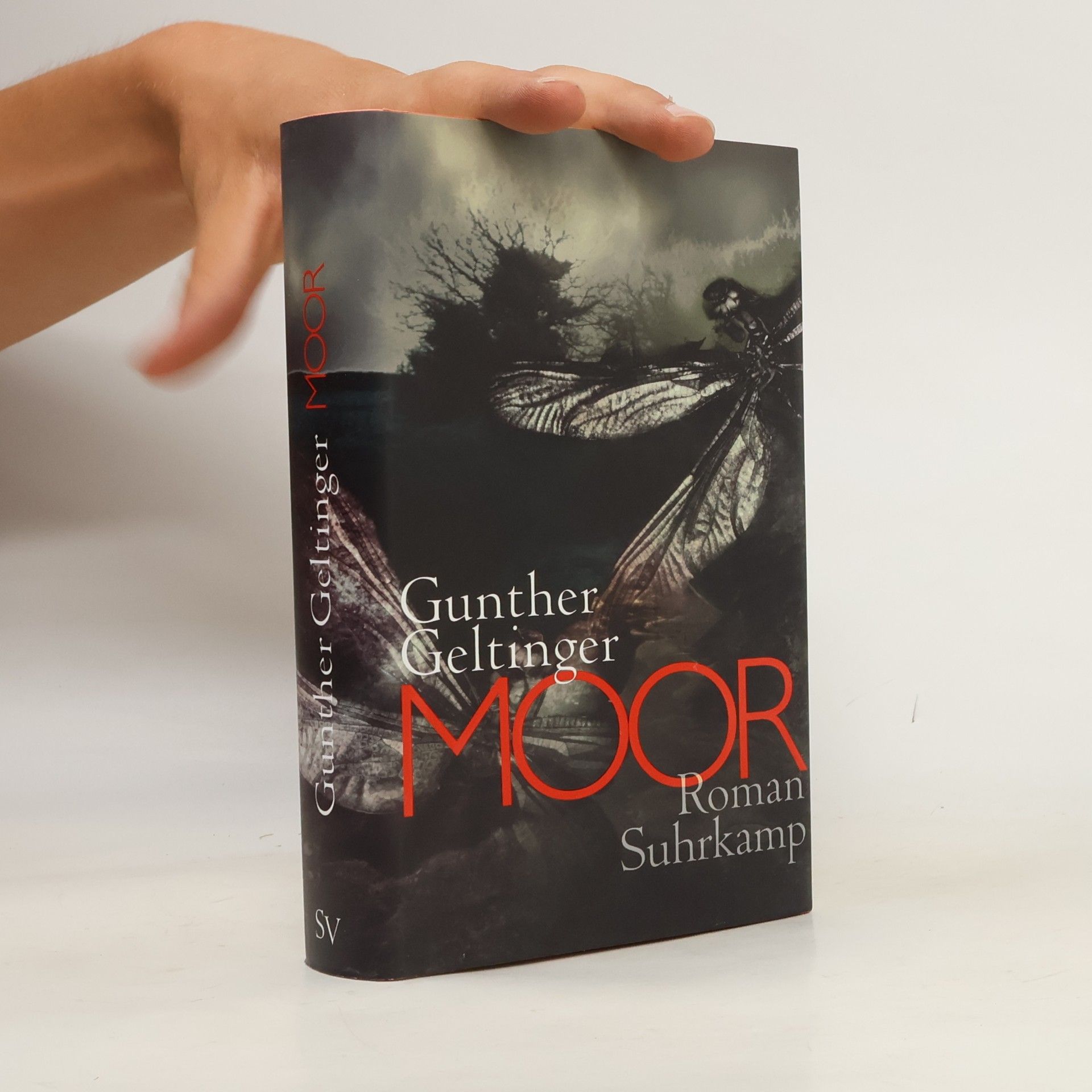 Gunther Geltinger Moor
