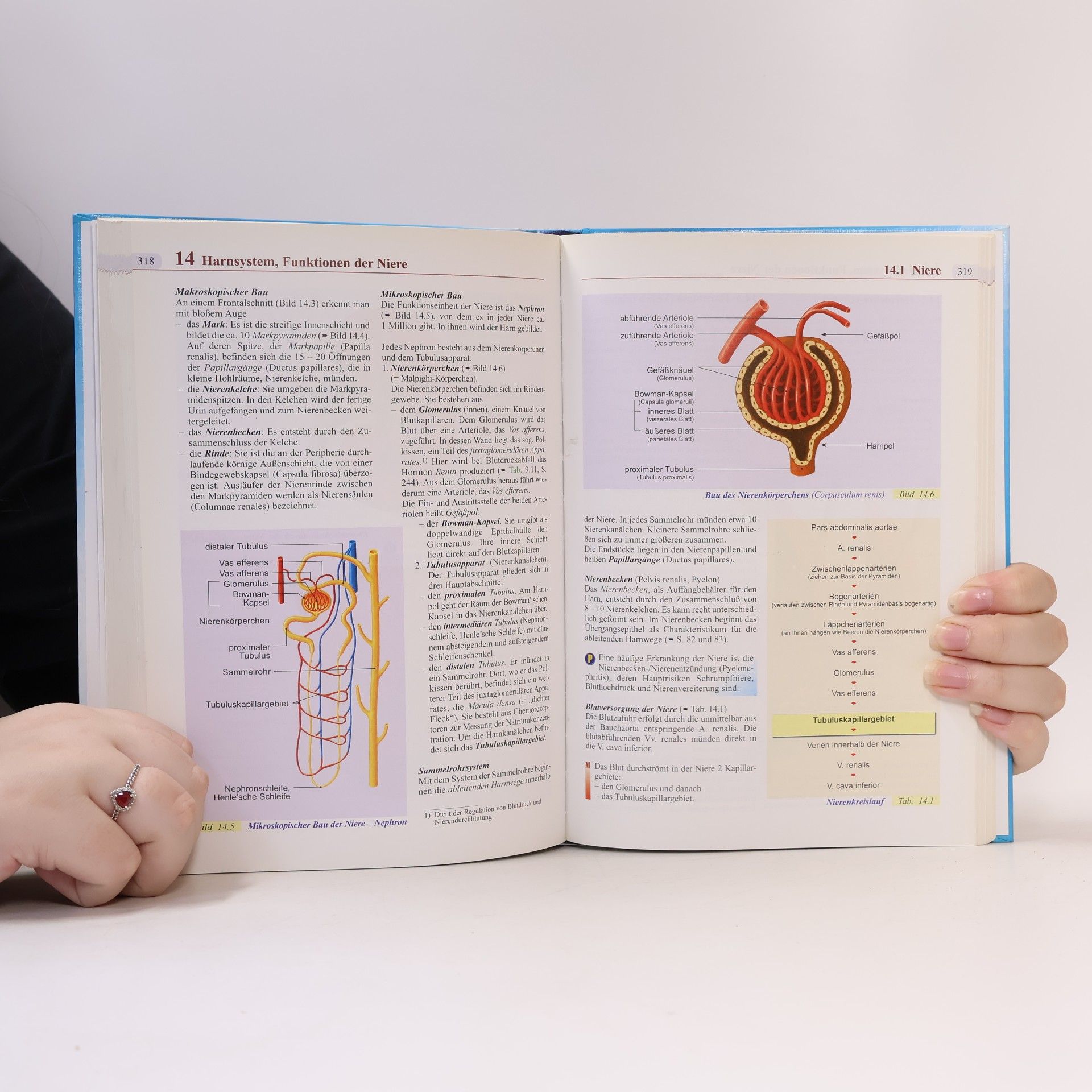 Martin Trebsdorf Biologie Anatomie Physiologie