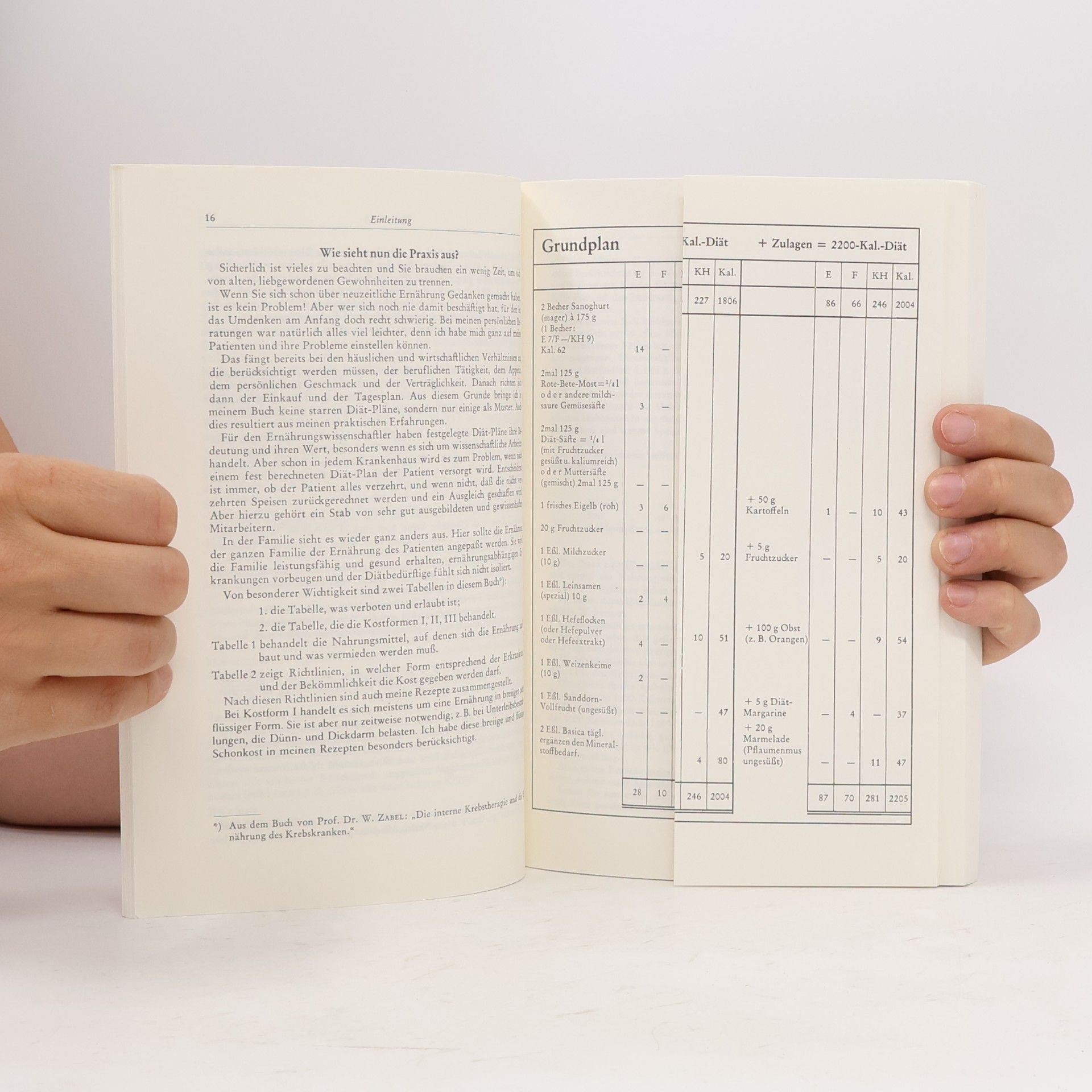 Liselotte Kretschmer Dehnhardt Die Ernährung bei Krebs und Krebsgefährdung - 10. Auflage