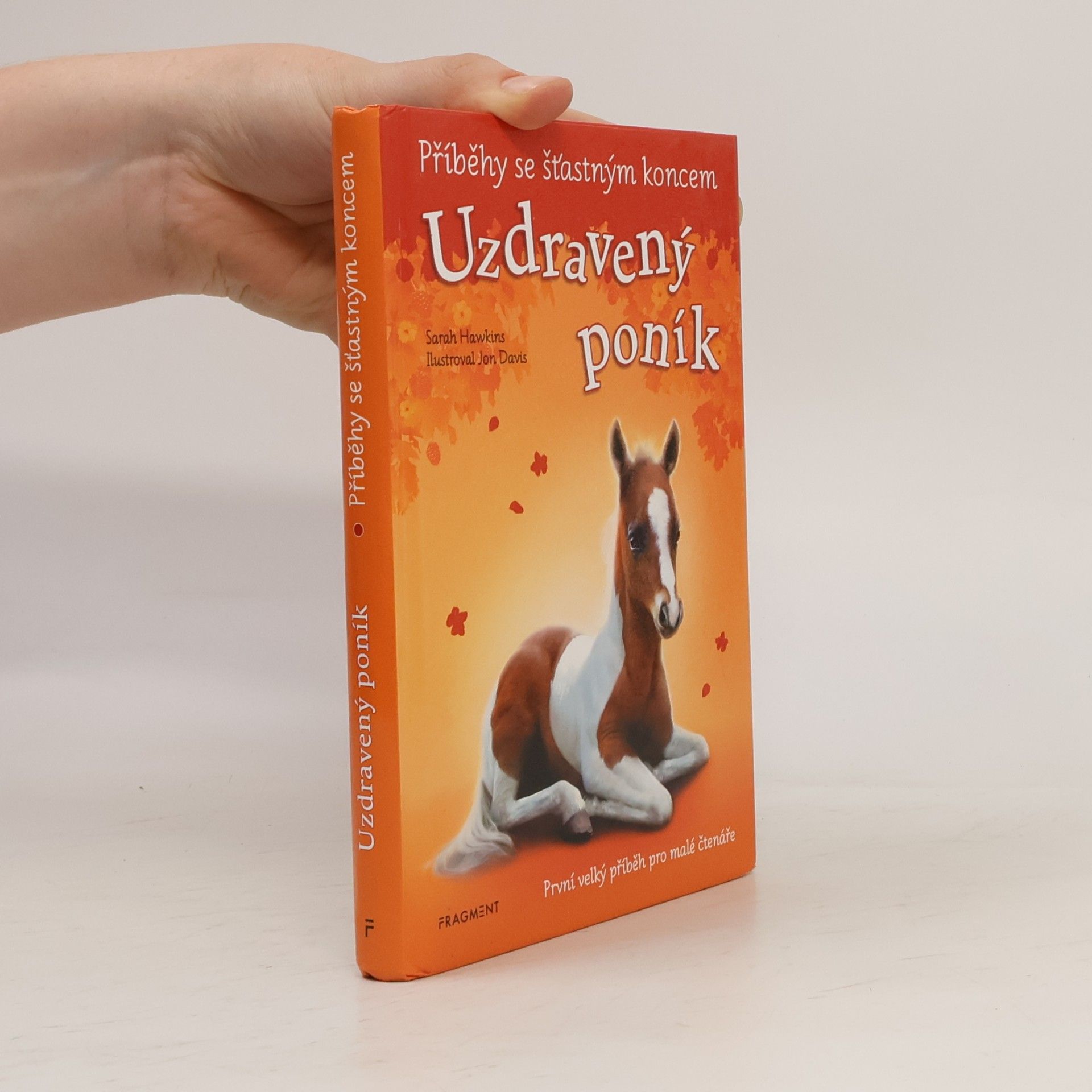 Sarah Hawkins Uzdravený poník