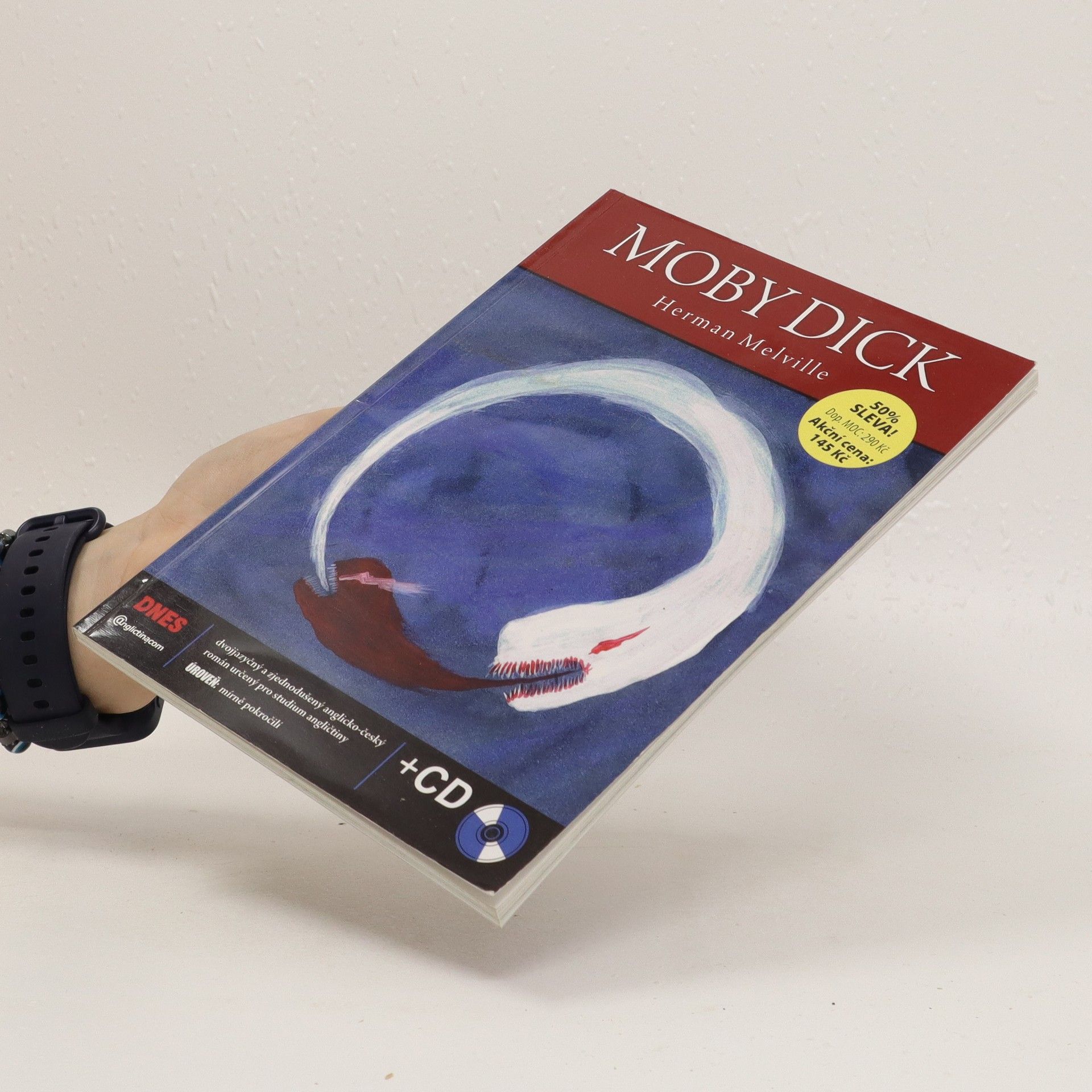 Herman Melville Moby Dick