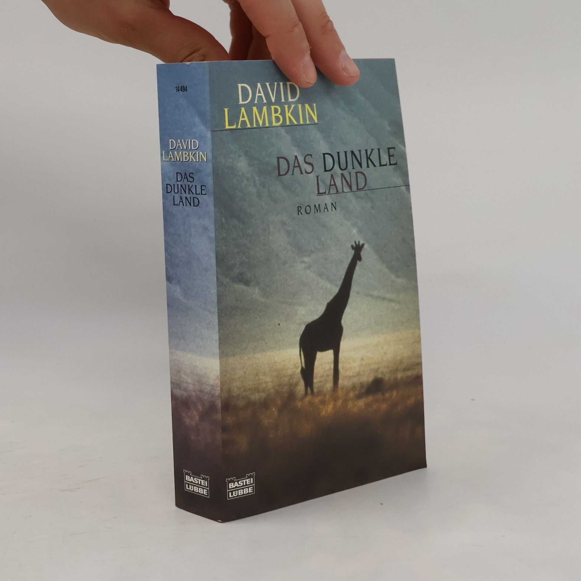 David Lambkin Das dunkle Land