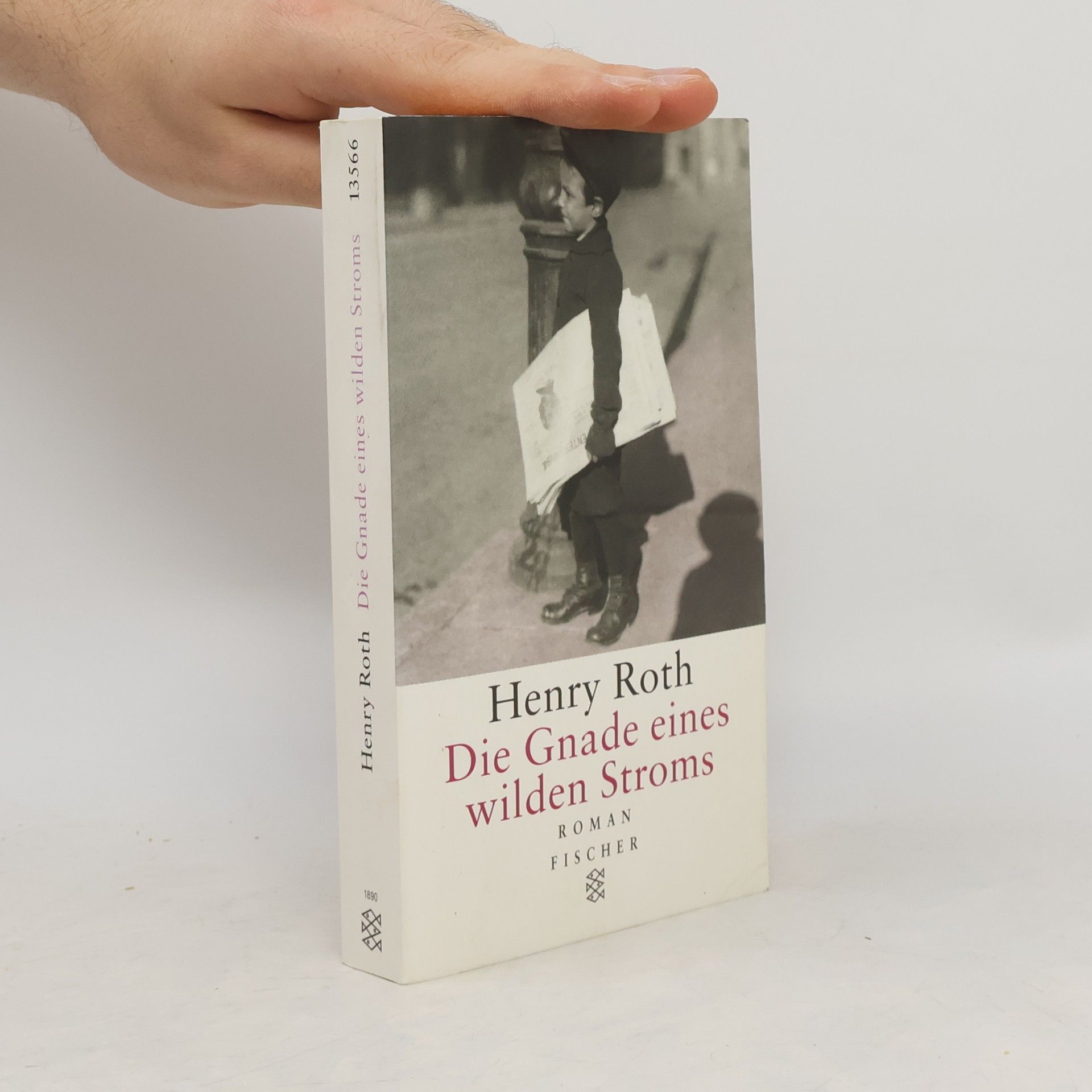 Henry Roth Die Gnade eines wilden Stroms