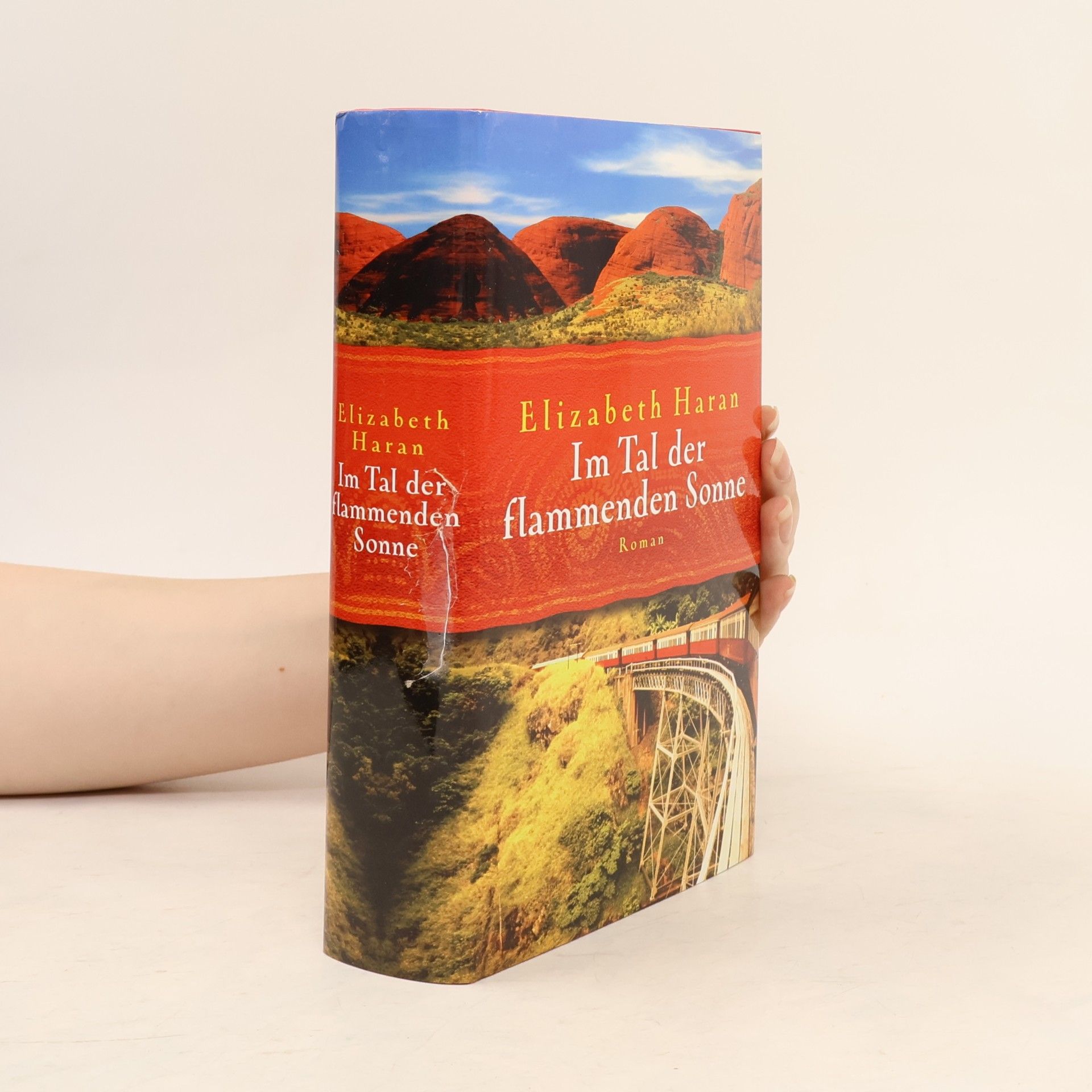 Elizabeth Haran Im Tal der flammenden Sonne